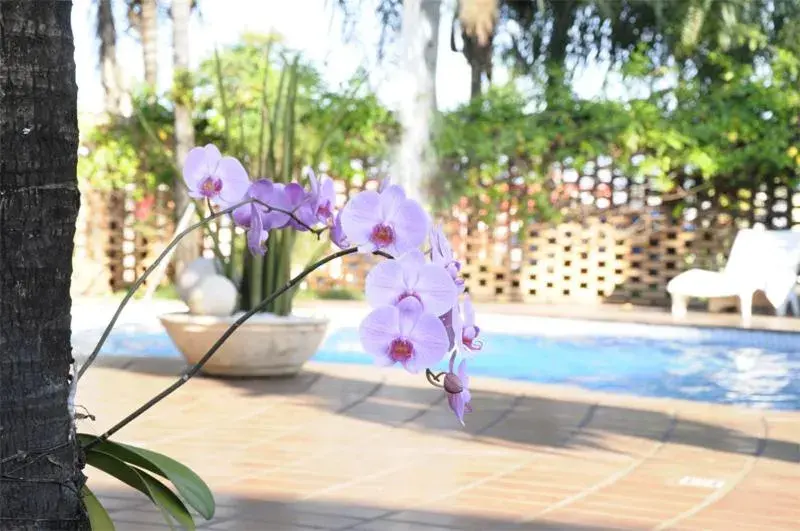 Vila Romana Park Hotel Vila Romana Park Hotel