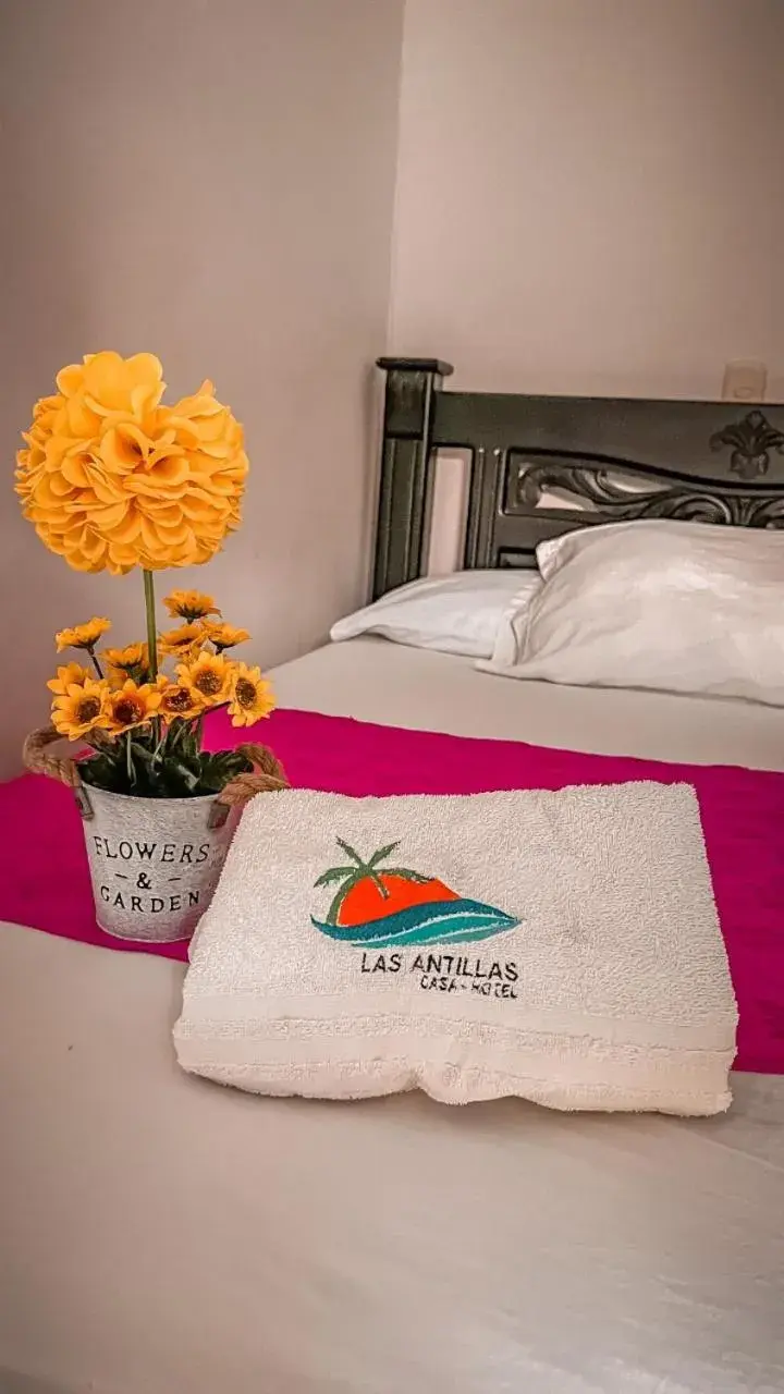 Double Room in Casa Hotel Las Antillas Double Room in Casa Hotel Las Antillas