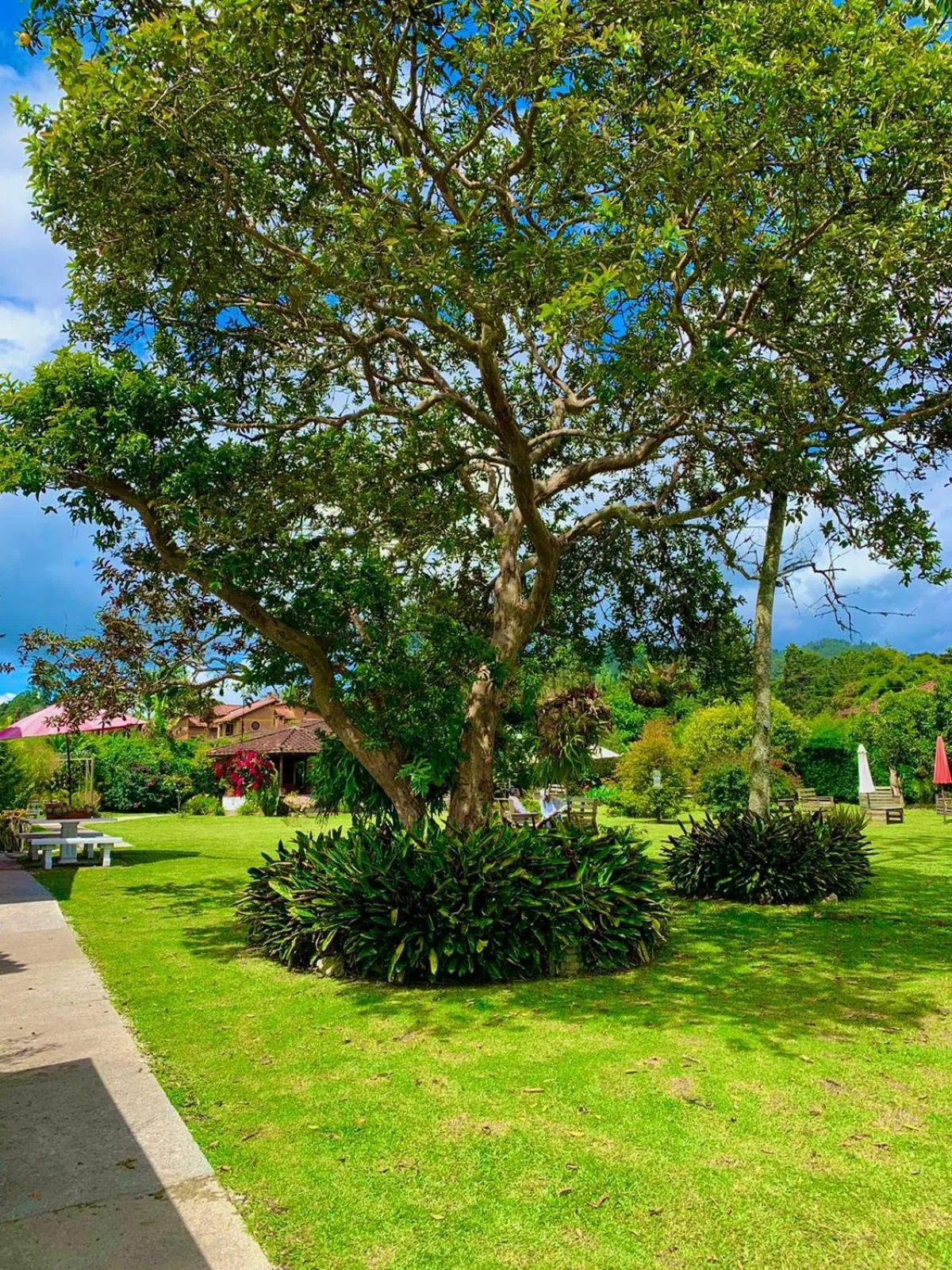 Garden in Hotel CSI Llanogrande