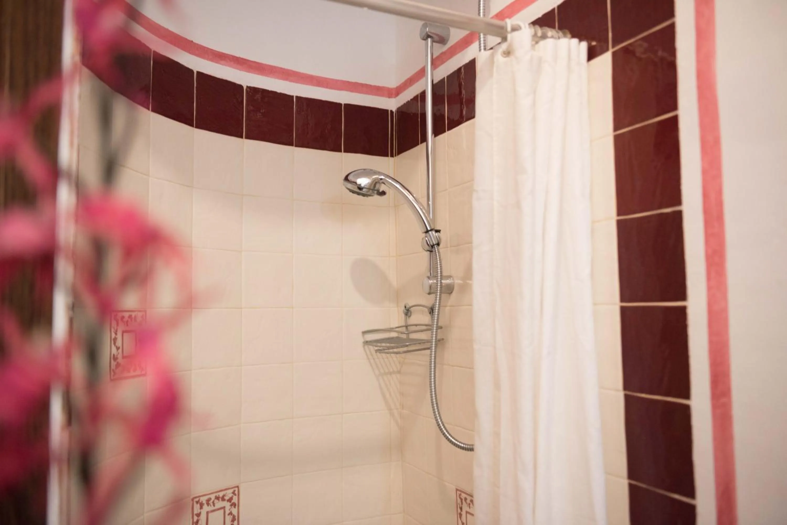 Hotel Anticos Palathos