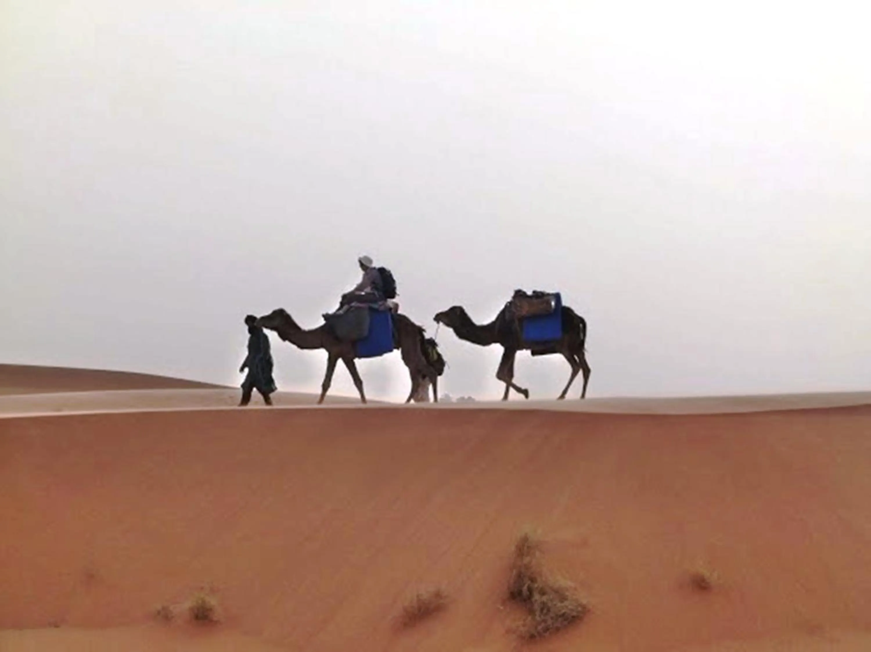 Hiking in Casbah d'hôte La Jeanne Tourisme Ecologique
