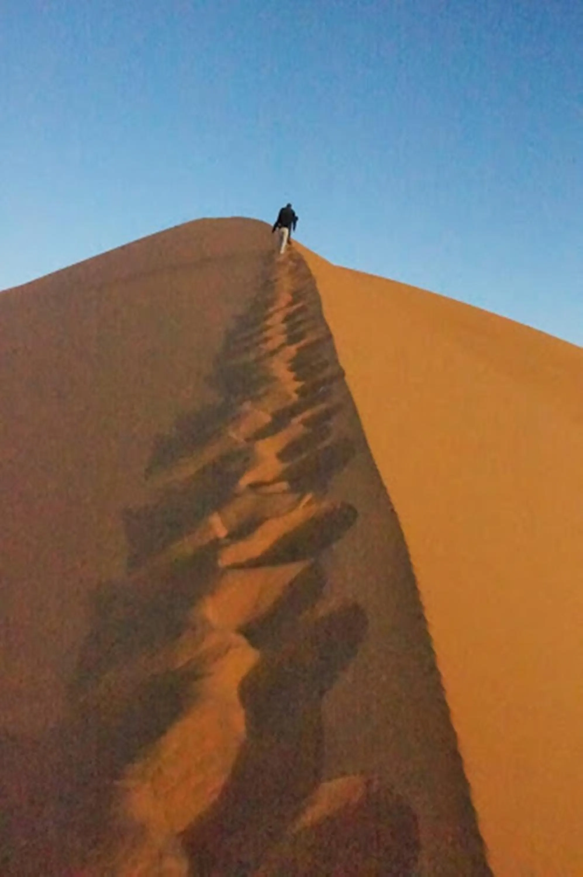 Area and facilities in Casbah d'hôte La Jeanne Tourisme Ecologique