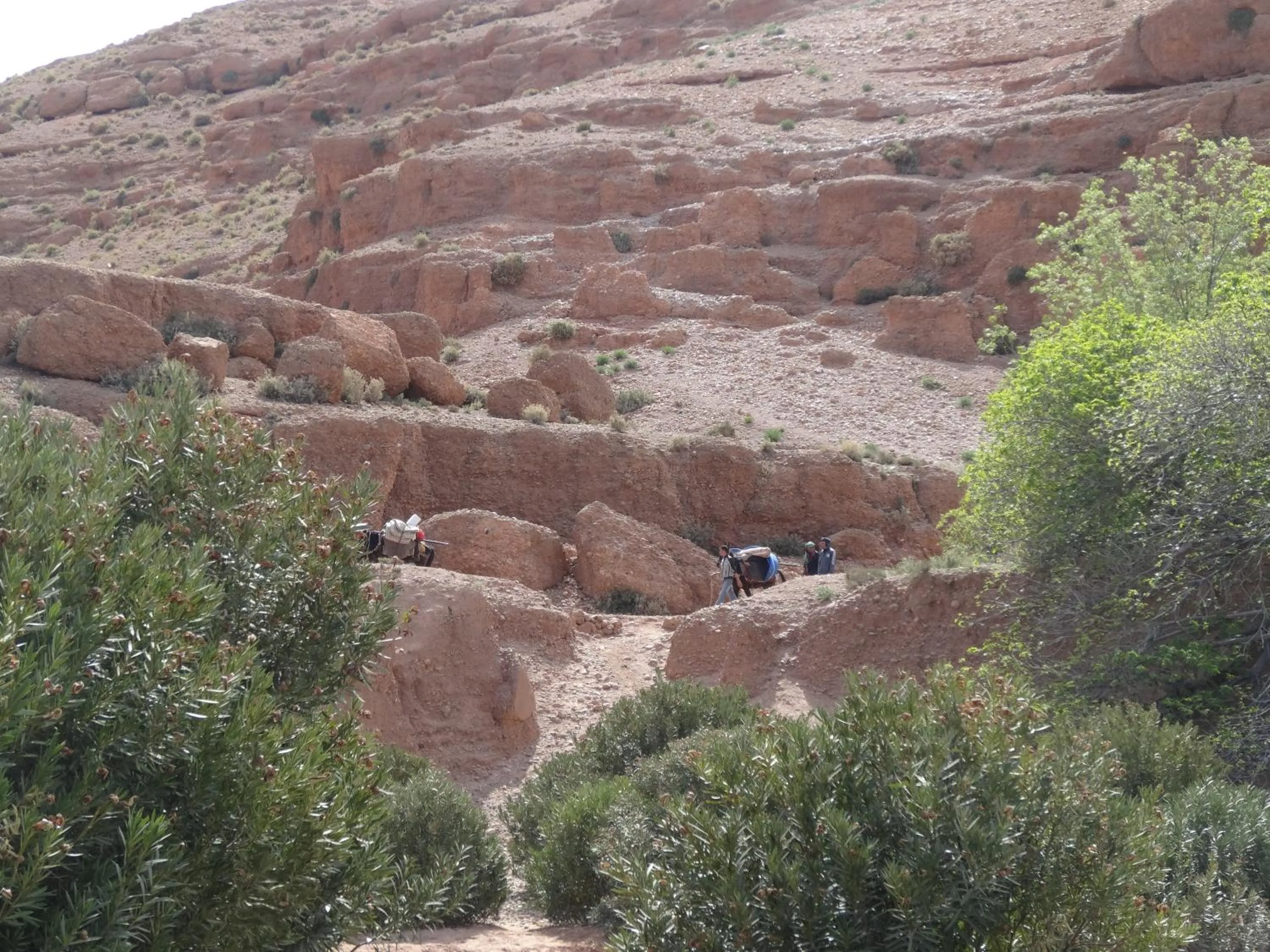 Area and facilities in Casbah d'hôte La Jeanne Tourisme Ecologique