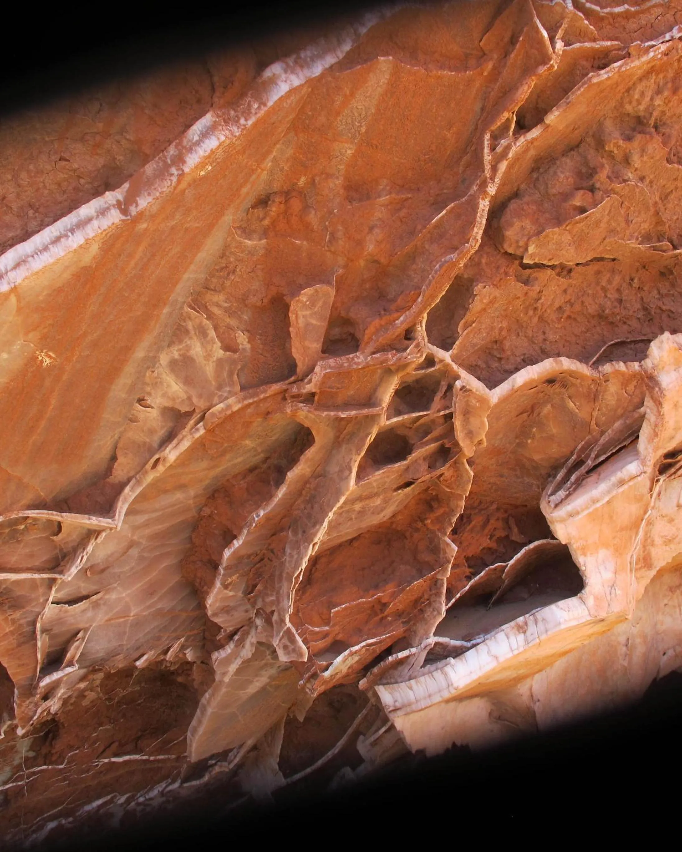 Area and facilities in Casbah d'hôte La Jeanne Tourisme Ecologique