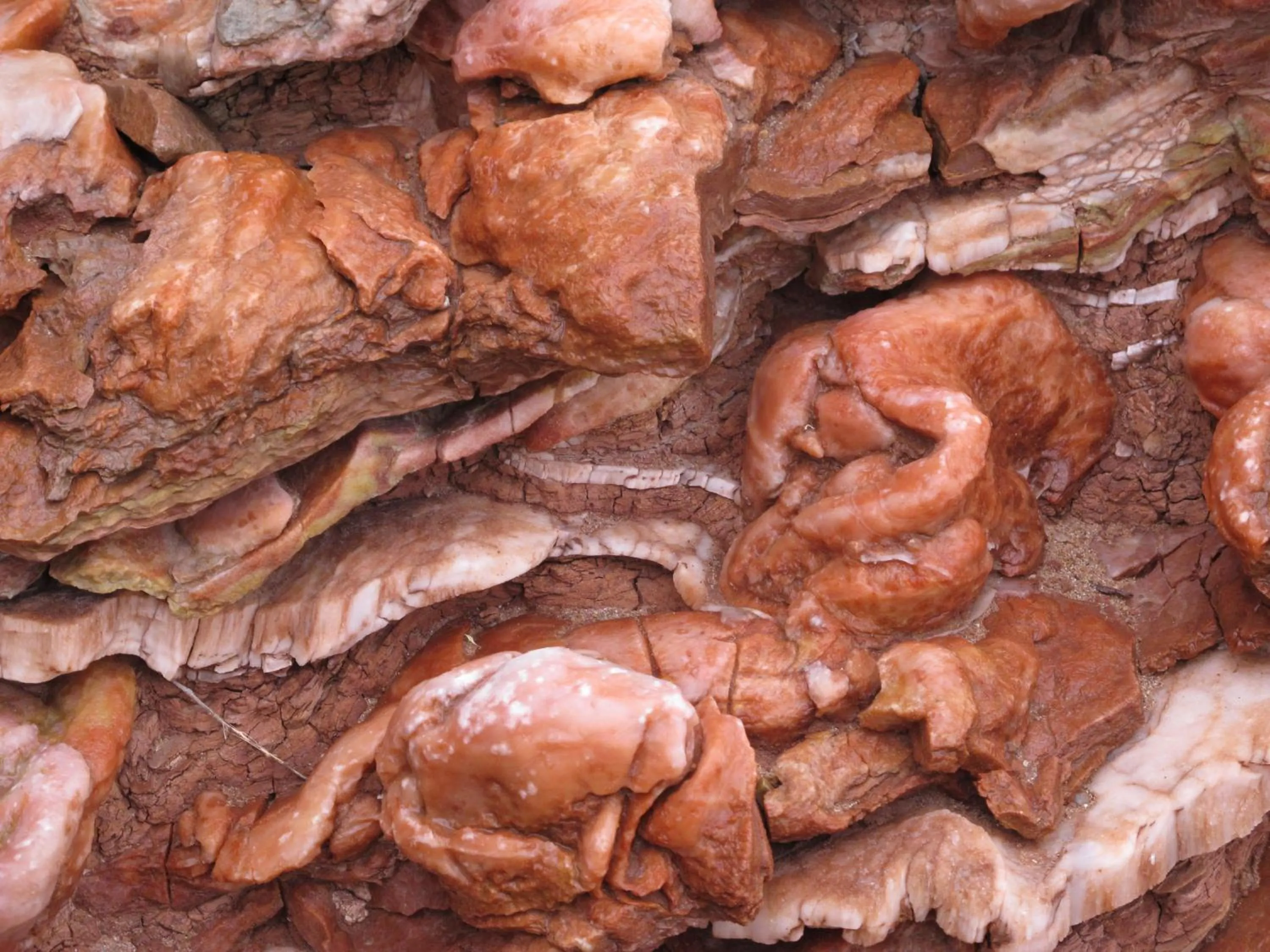 Natural landscape in Casbah d'hôte La Jeanne Tourisme Ecologique