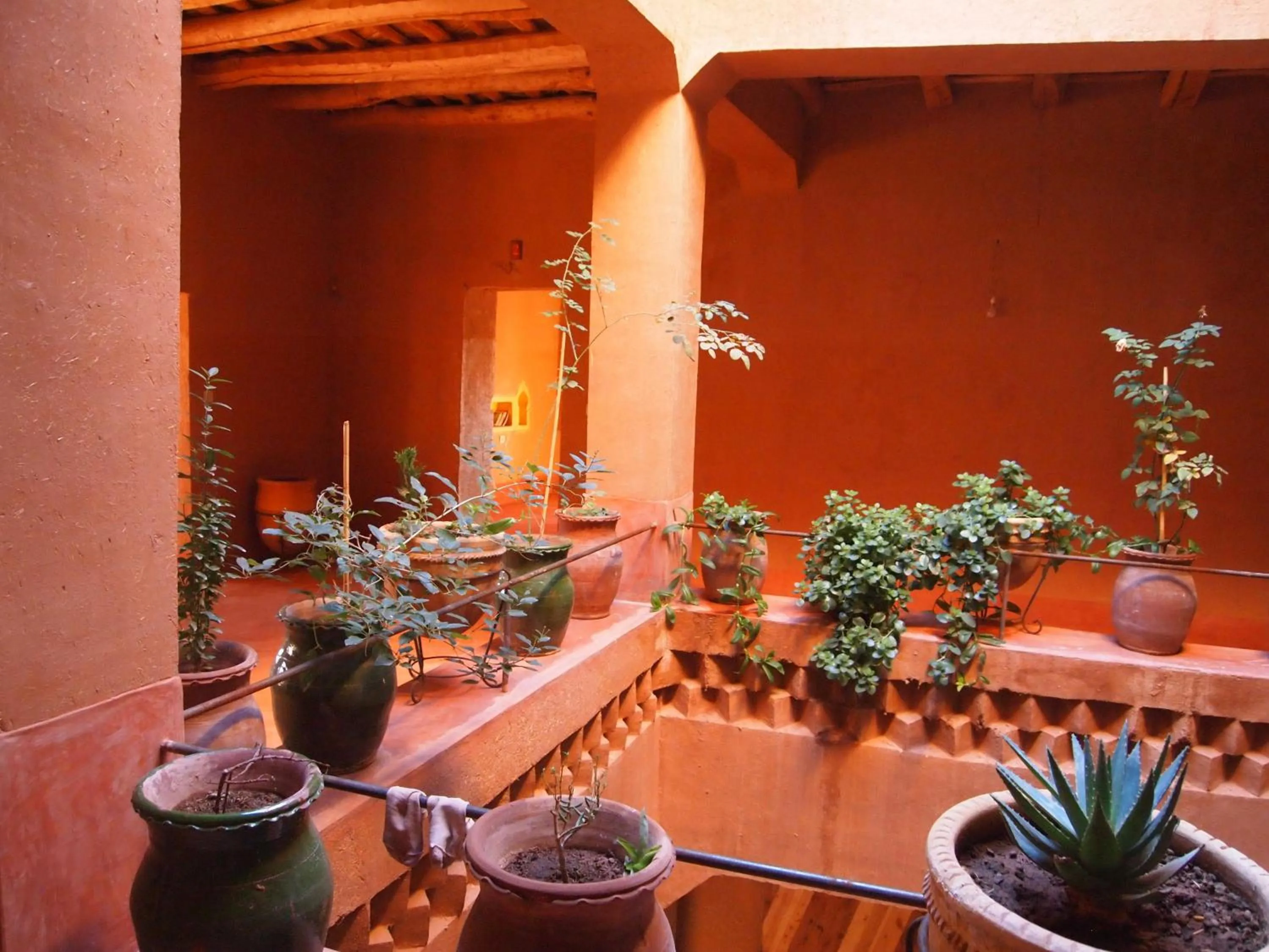 Lobby or reception in Casbah d'hôte La Jeanne Tourisme Ecologique