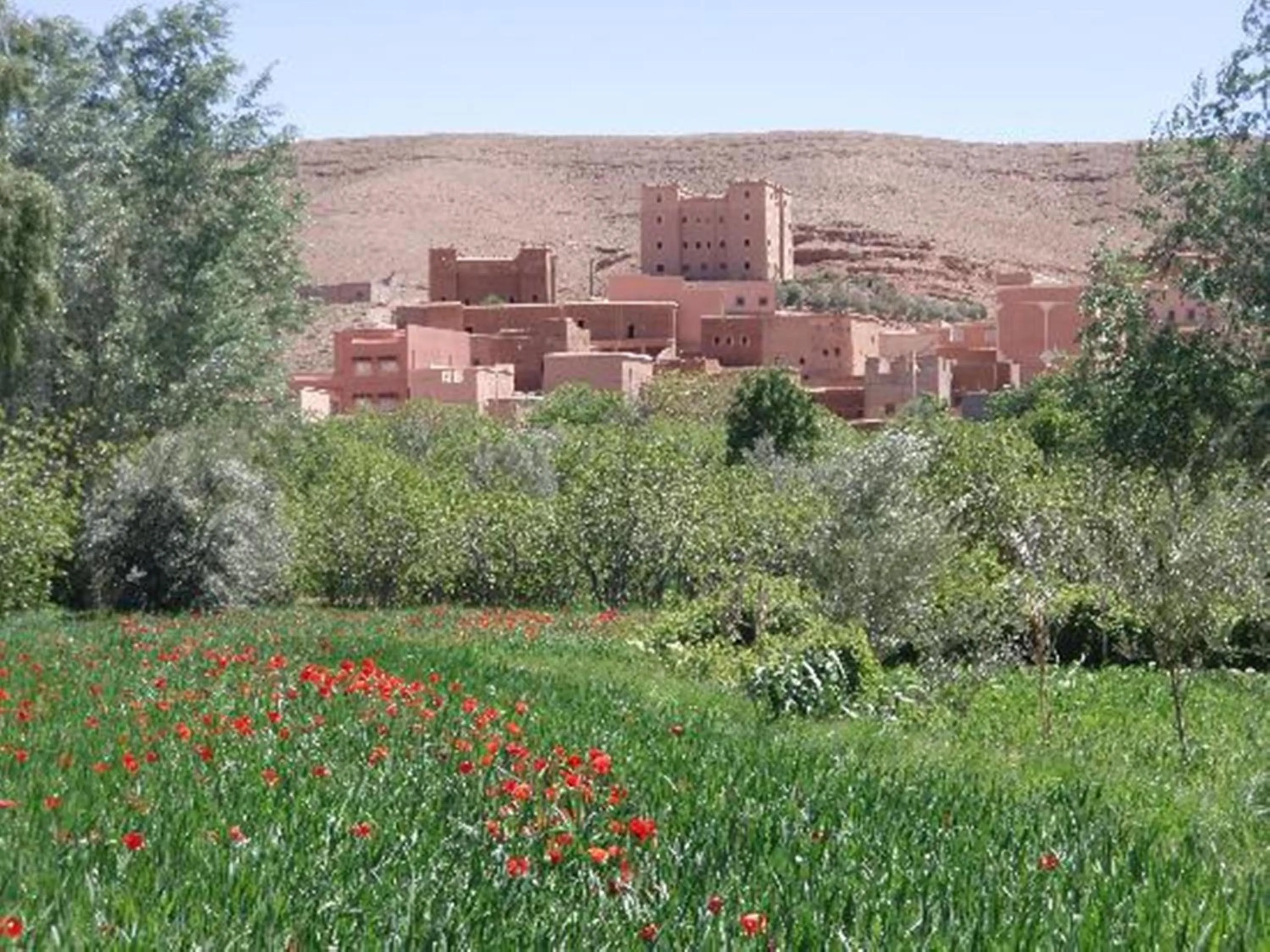 Bird's eye view in Casbah d'hôte La Jeanne Tourisme Ecologique