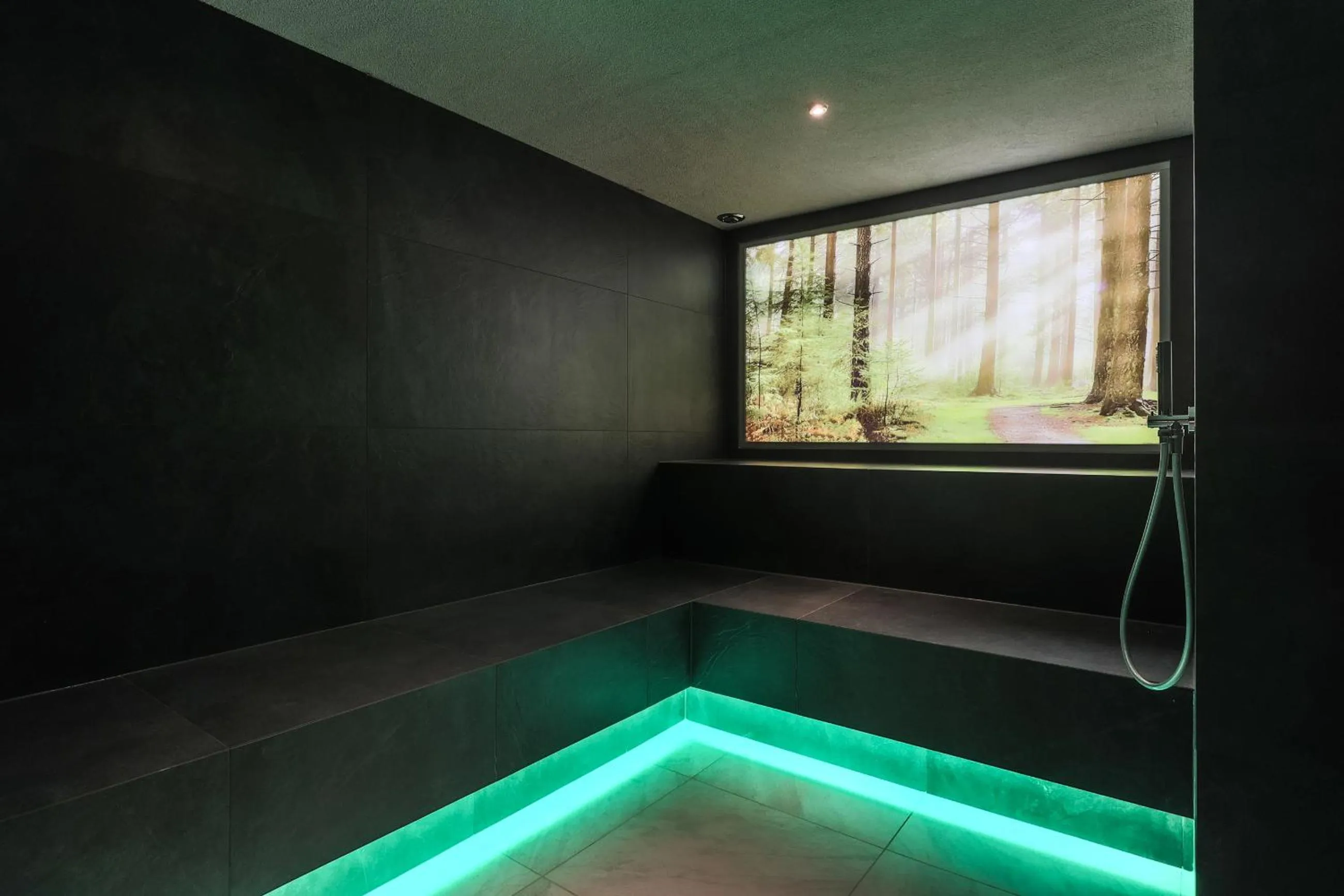 Spa and wellness centre/facilities in Hotel Waldheim