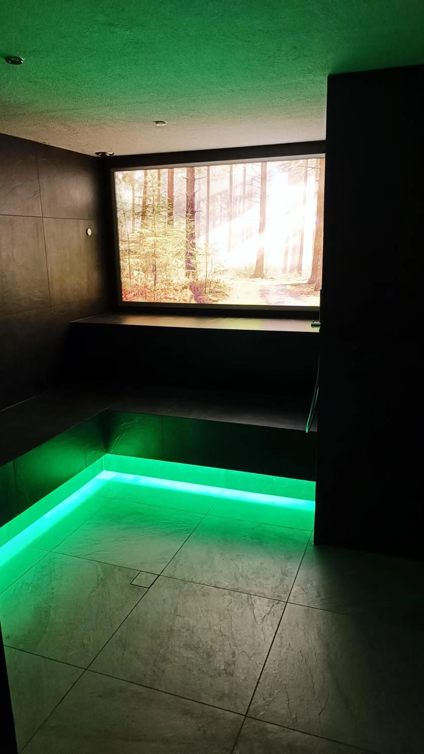 Sauna in Hotel Waldheim
