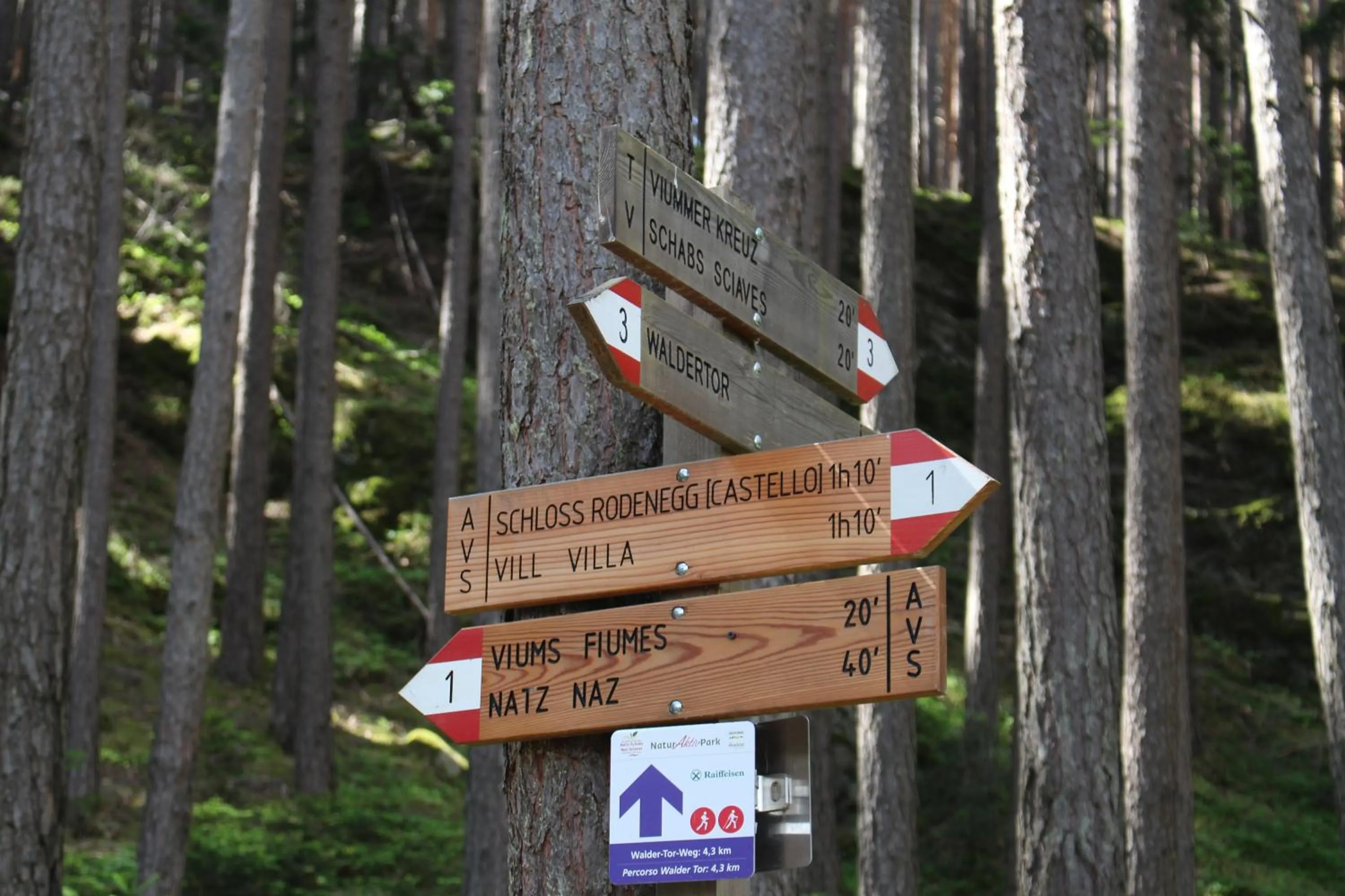 Other in Hotel Waldheim