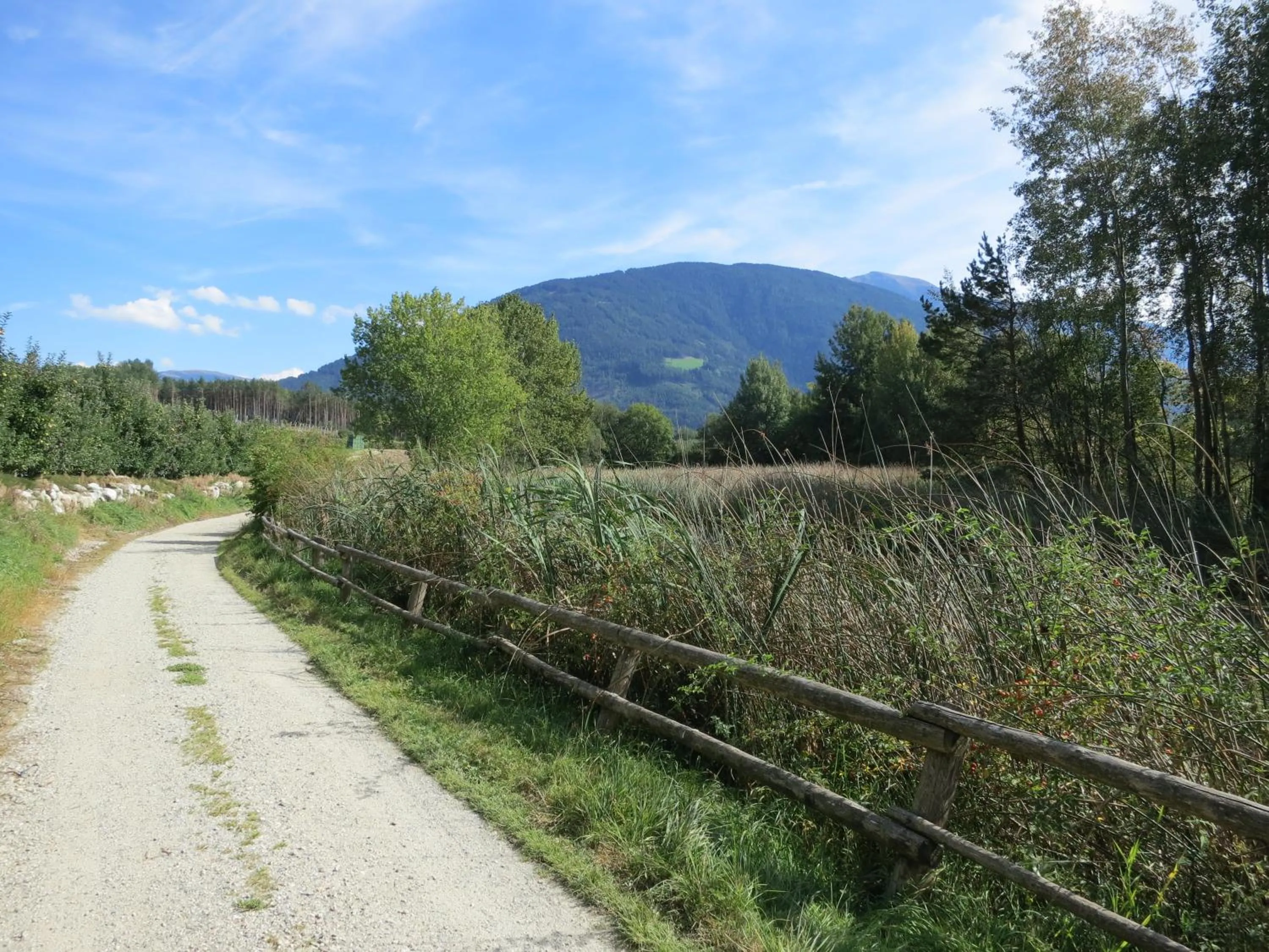 Seasons in Hotel Waldheim