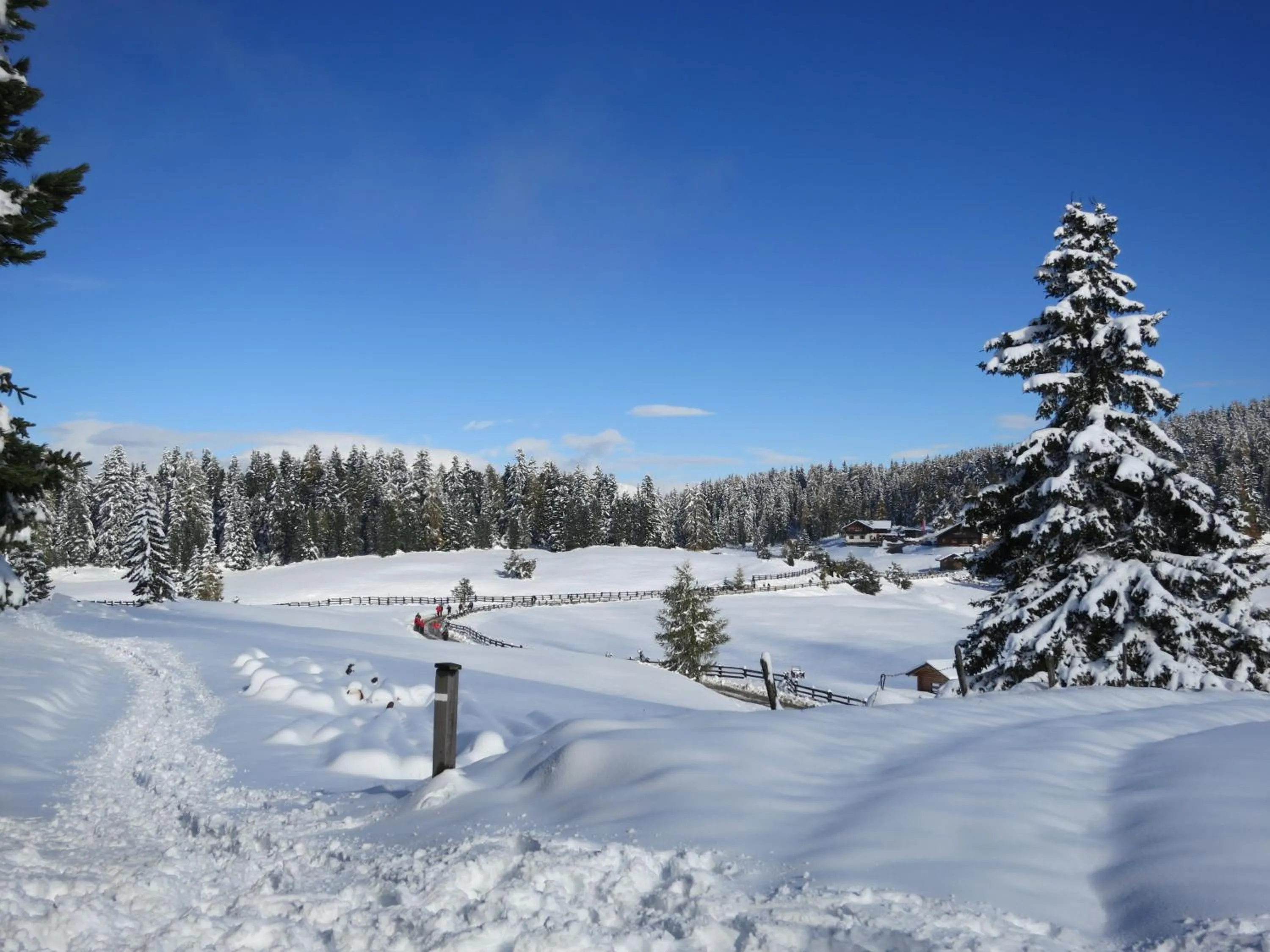 Winter in Hotel Waldheim