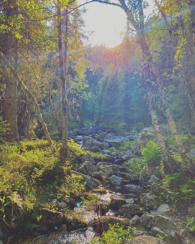 Sonfjällsgårdens Wärdshus & Hotell