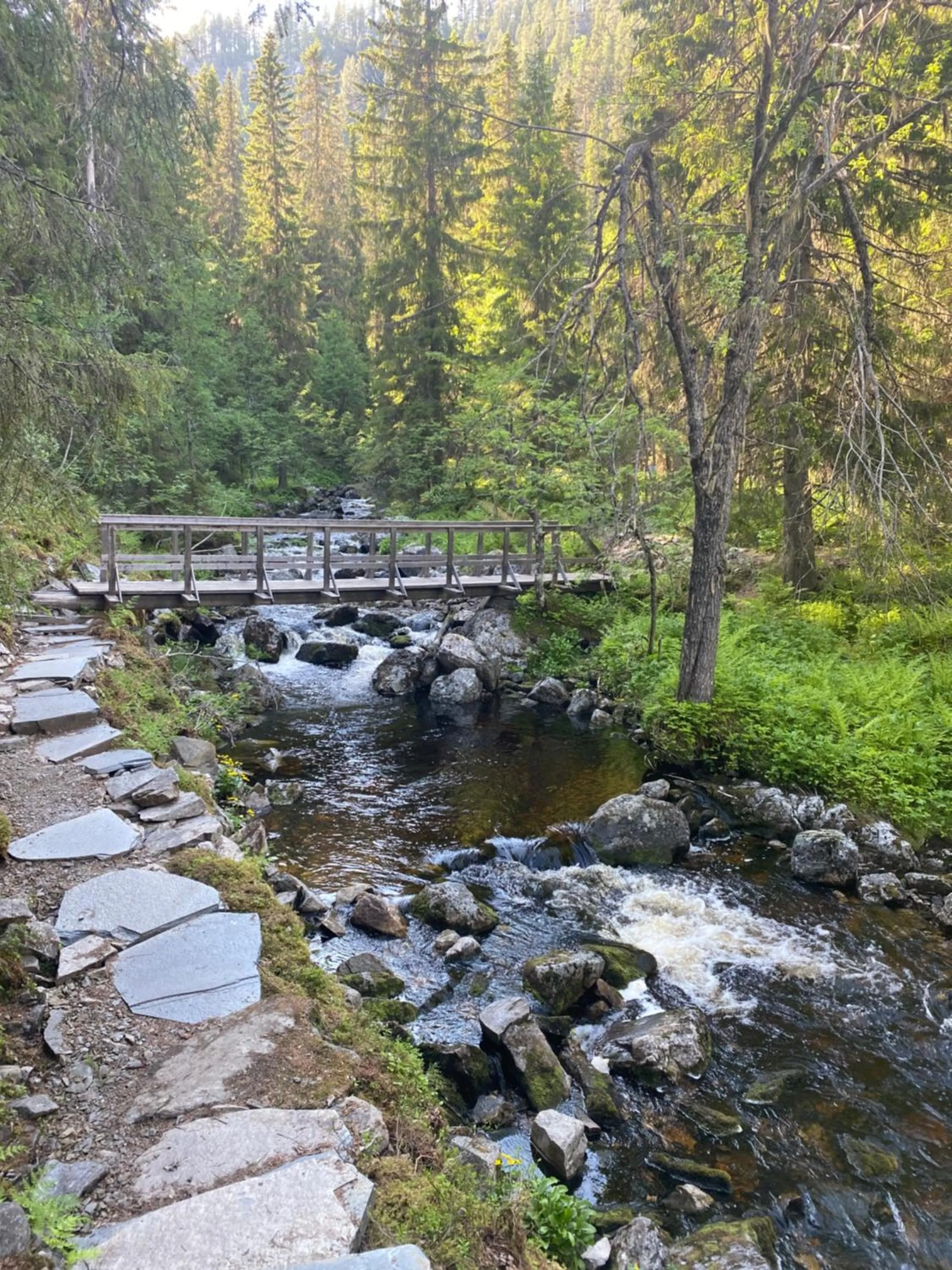 Sonfjällsgårdens Wärdshus & Hotell