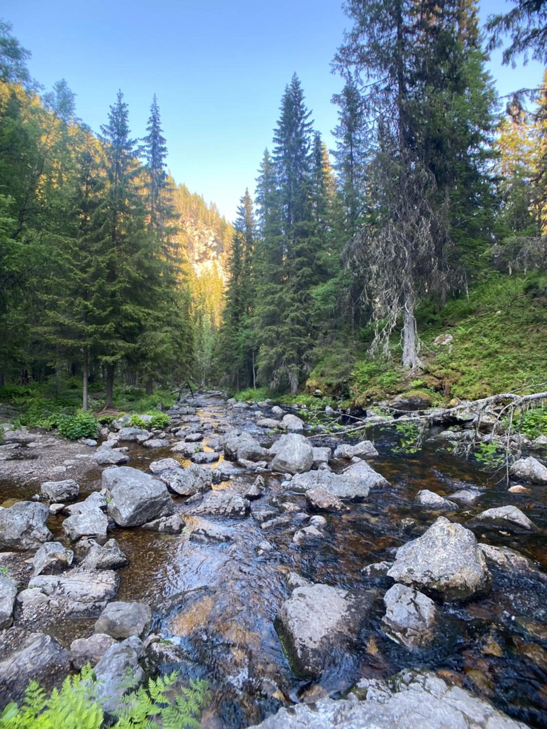 Sonfjällsgårdens Wärdshus & Hotell