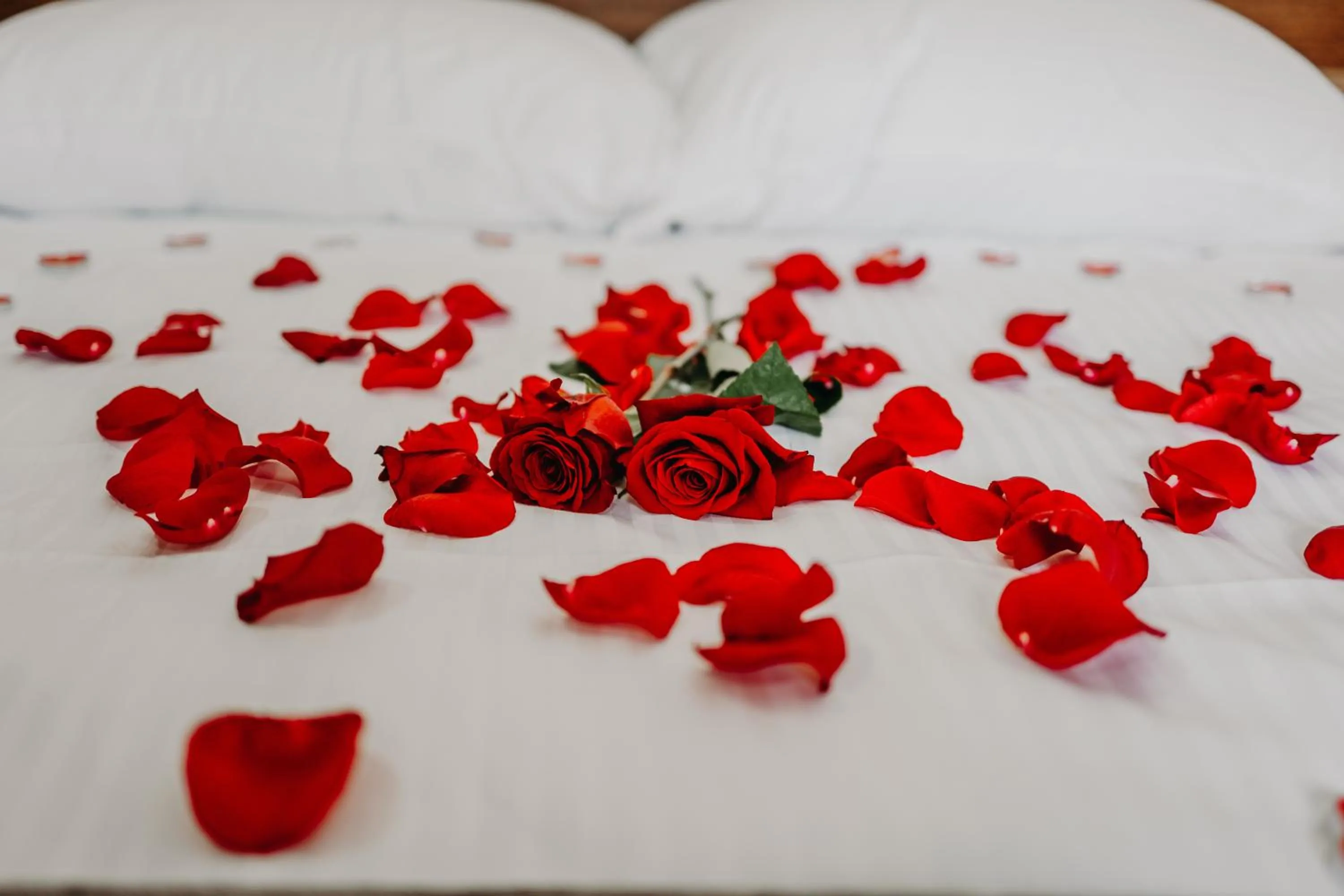 Bedroom in Hotel Noor Konjic