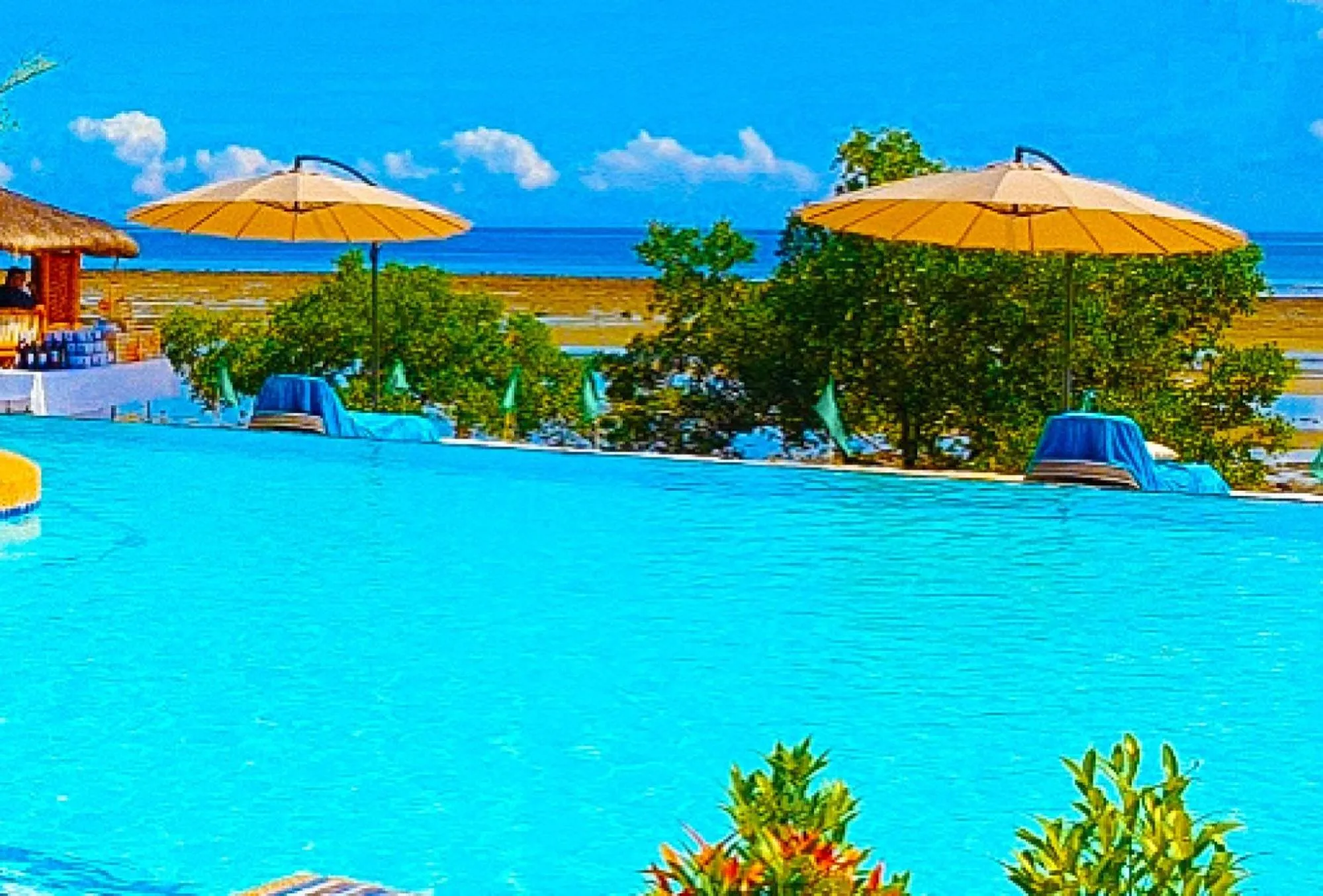 Day in RedDoorz at PWL Exclusive Resort Cebu