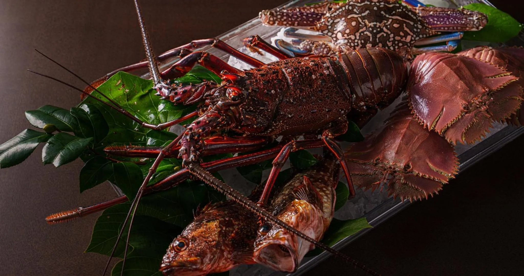 Food in GOTO RETREAT by Onko Chishin