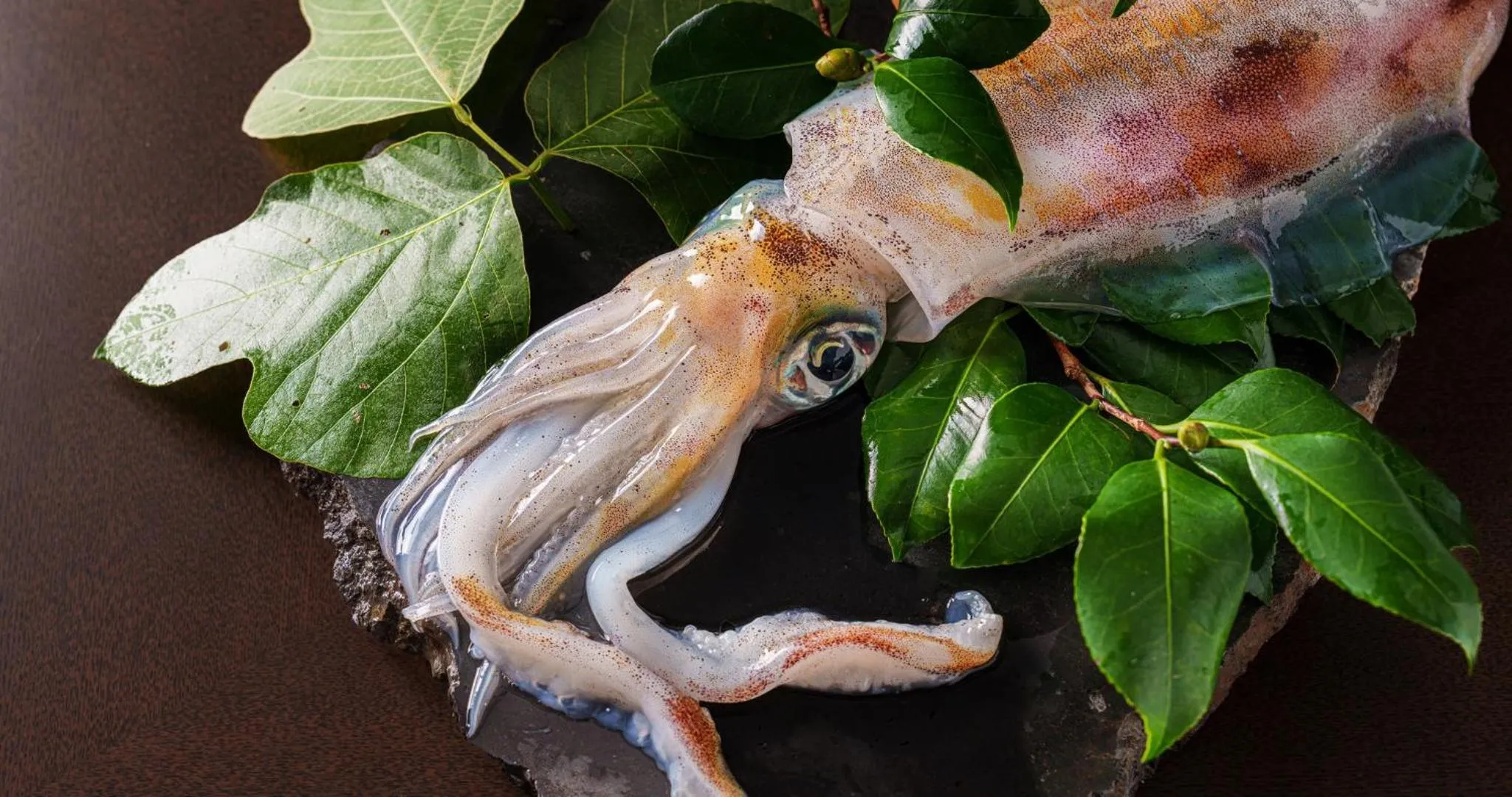 Food in GOTO RETREAT by Onko Chishin