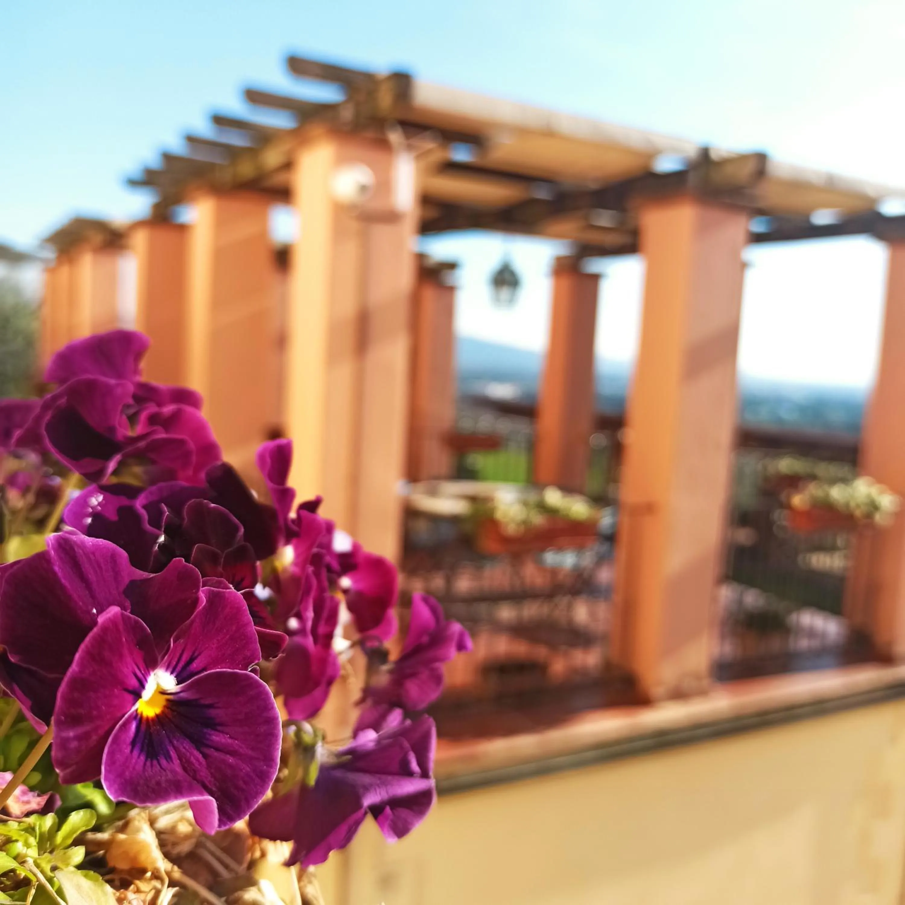 Property building in Domus Volumnia Country House