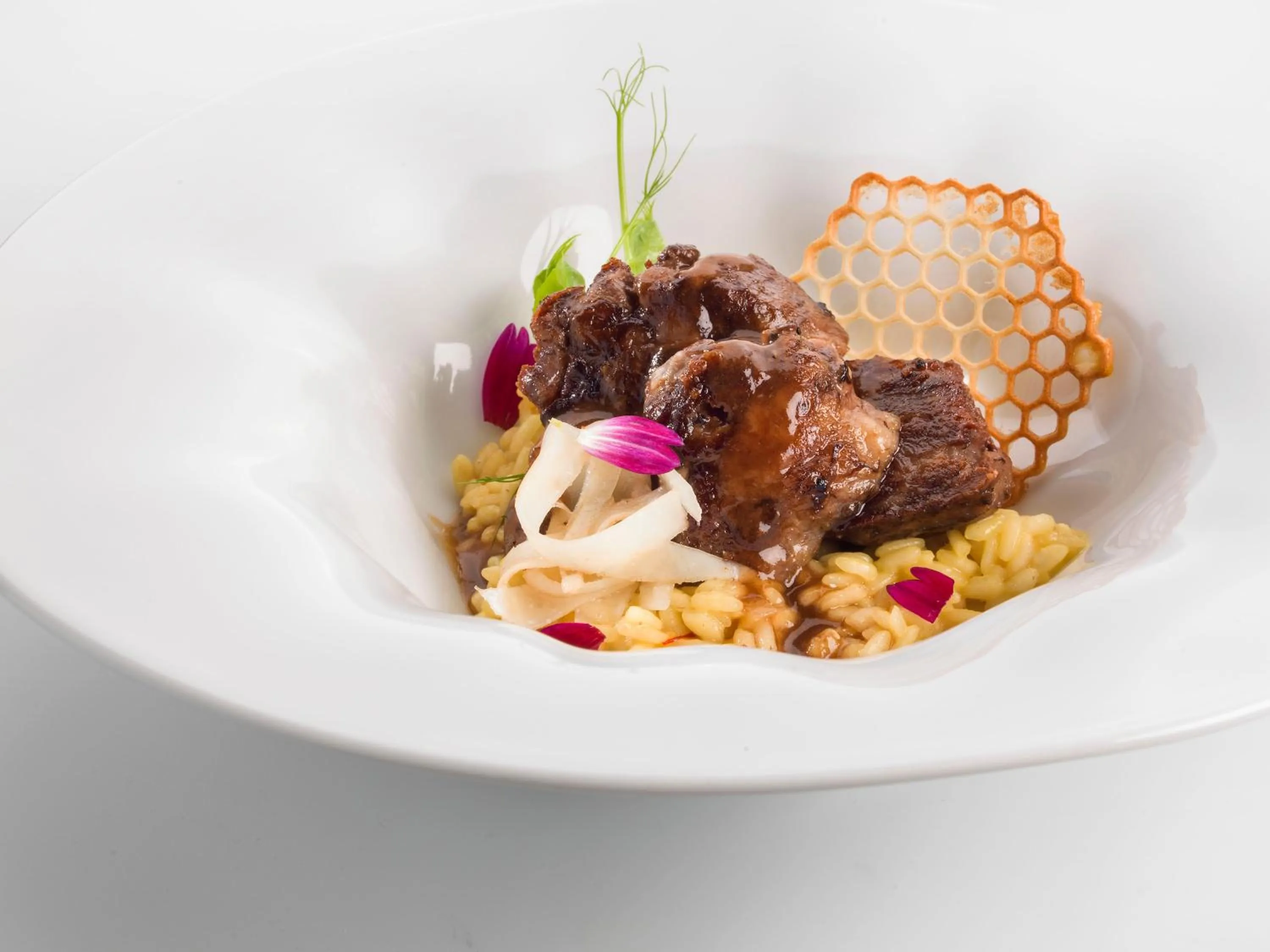 Restaurant/places to eat in Grand Plaza Hotel & Congress Center