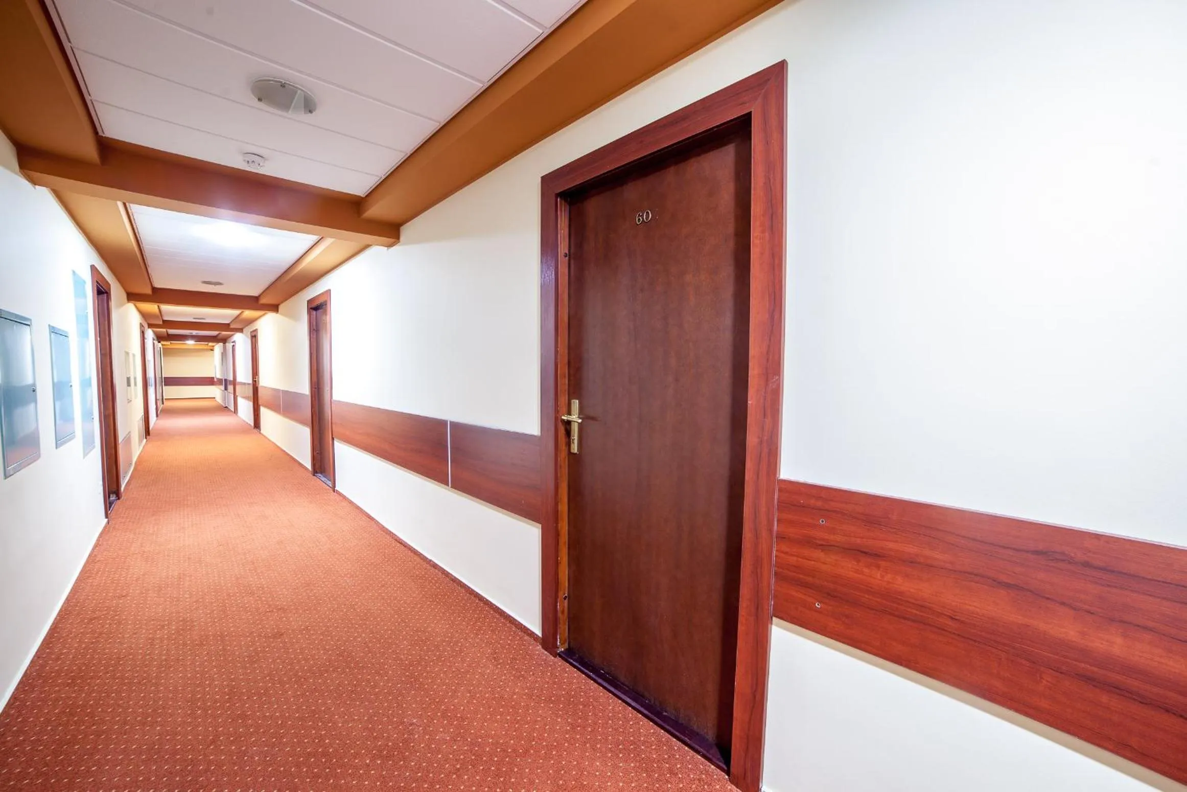 Area and facilities in Aparthotel Etna