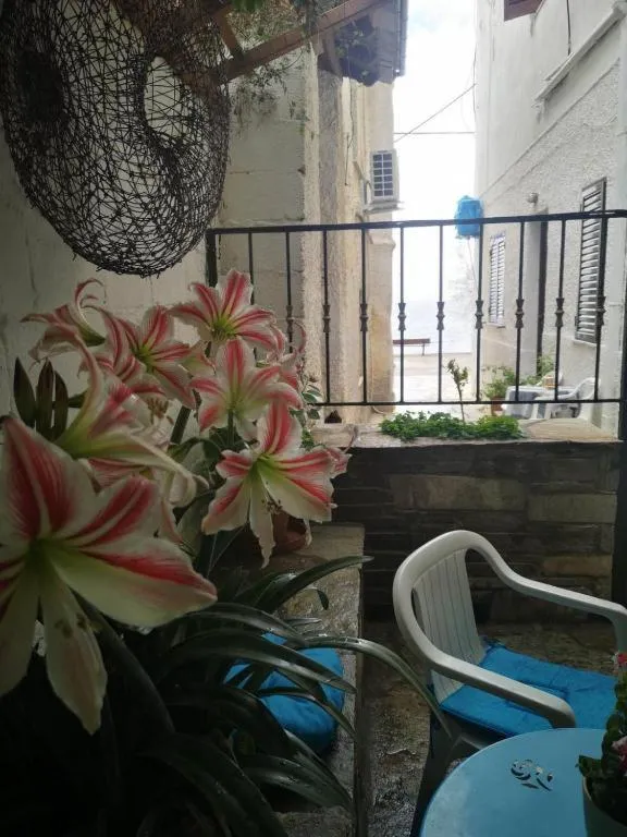 Maria's Studios