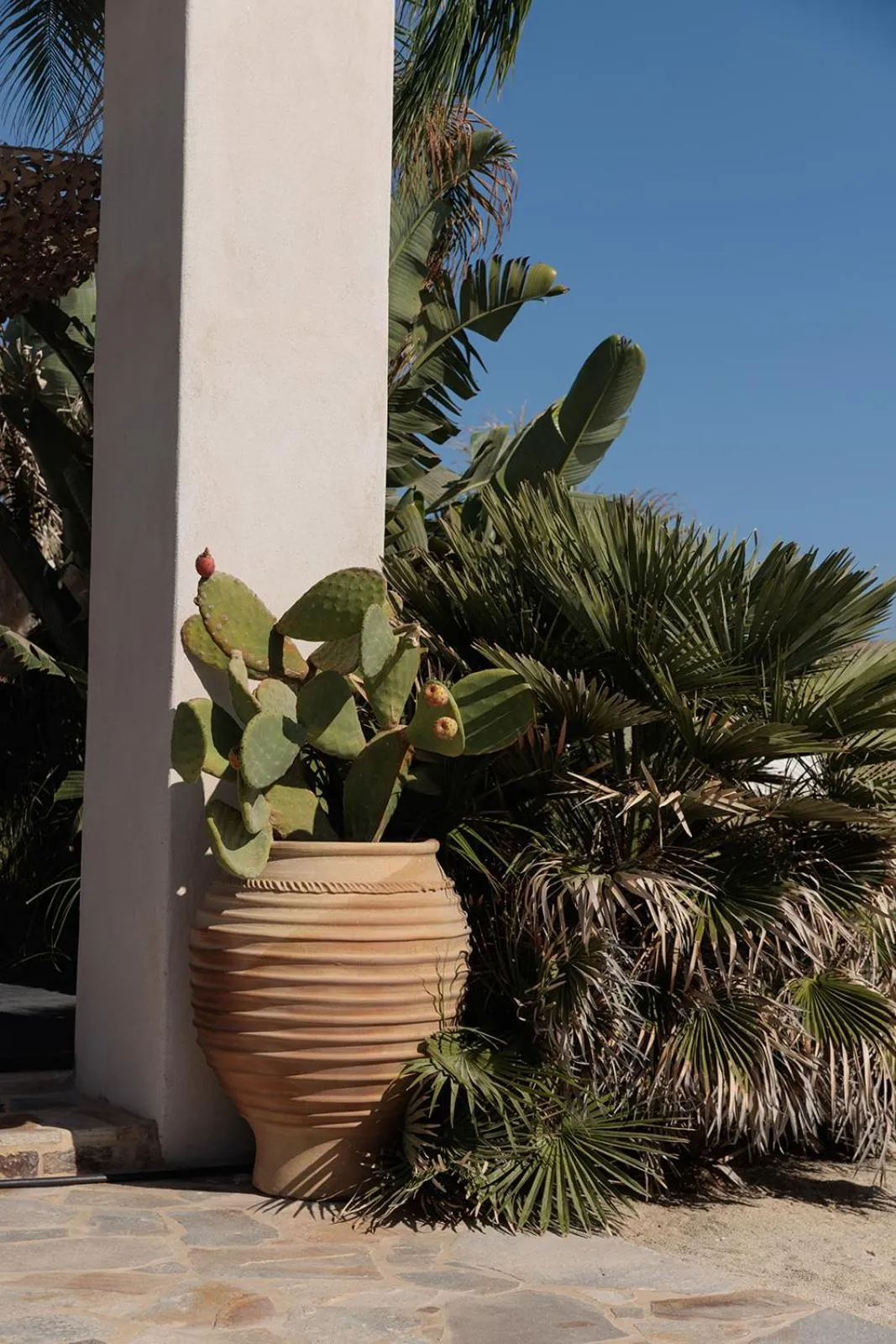 Garden view in Eden Beachfront Residences & Suites