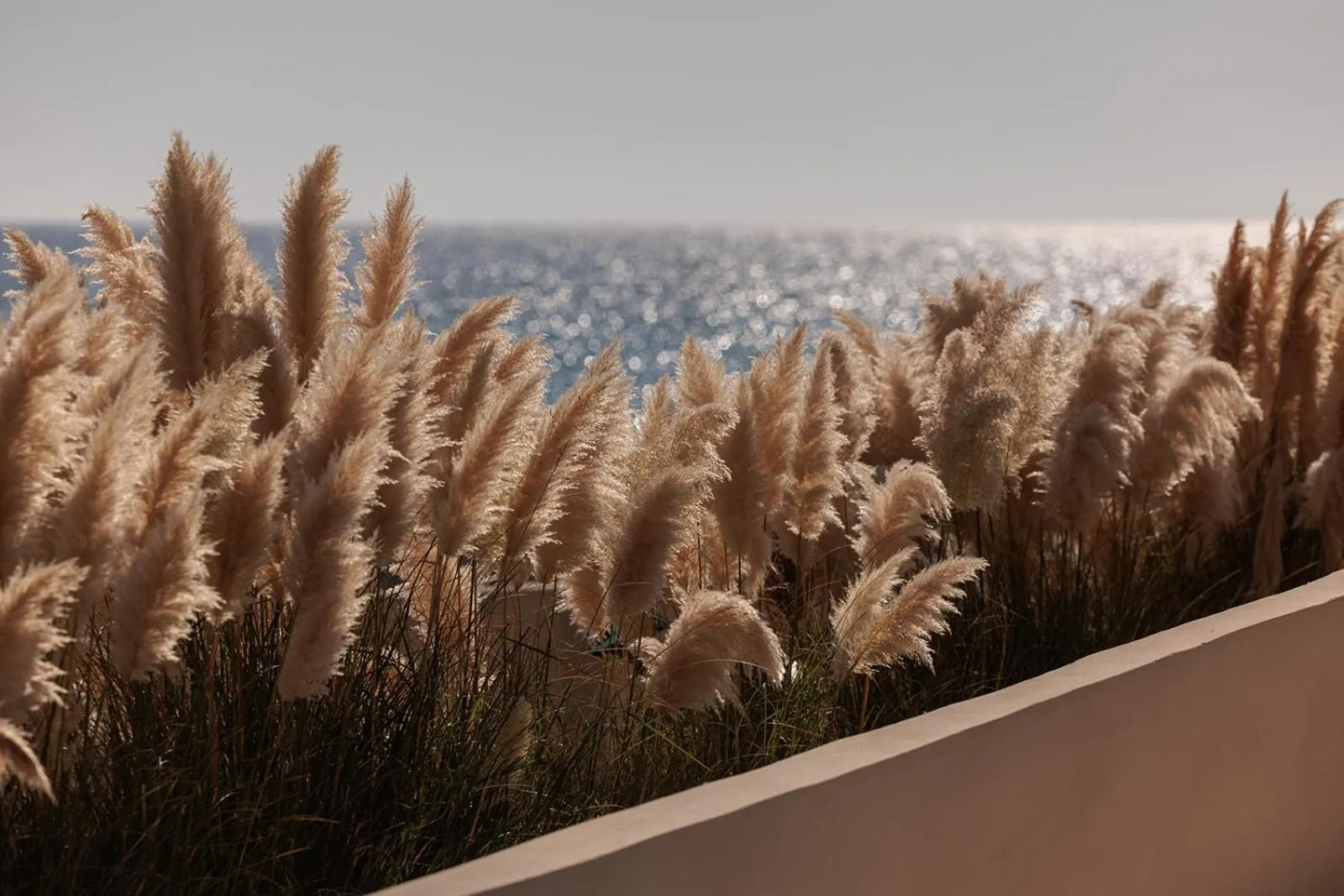 Garden in Eden Beachfront Residences & Suites