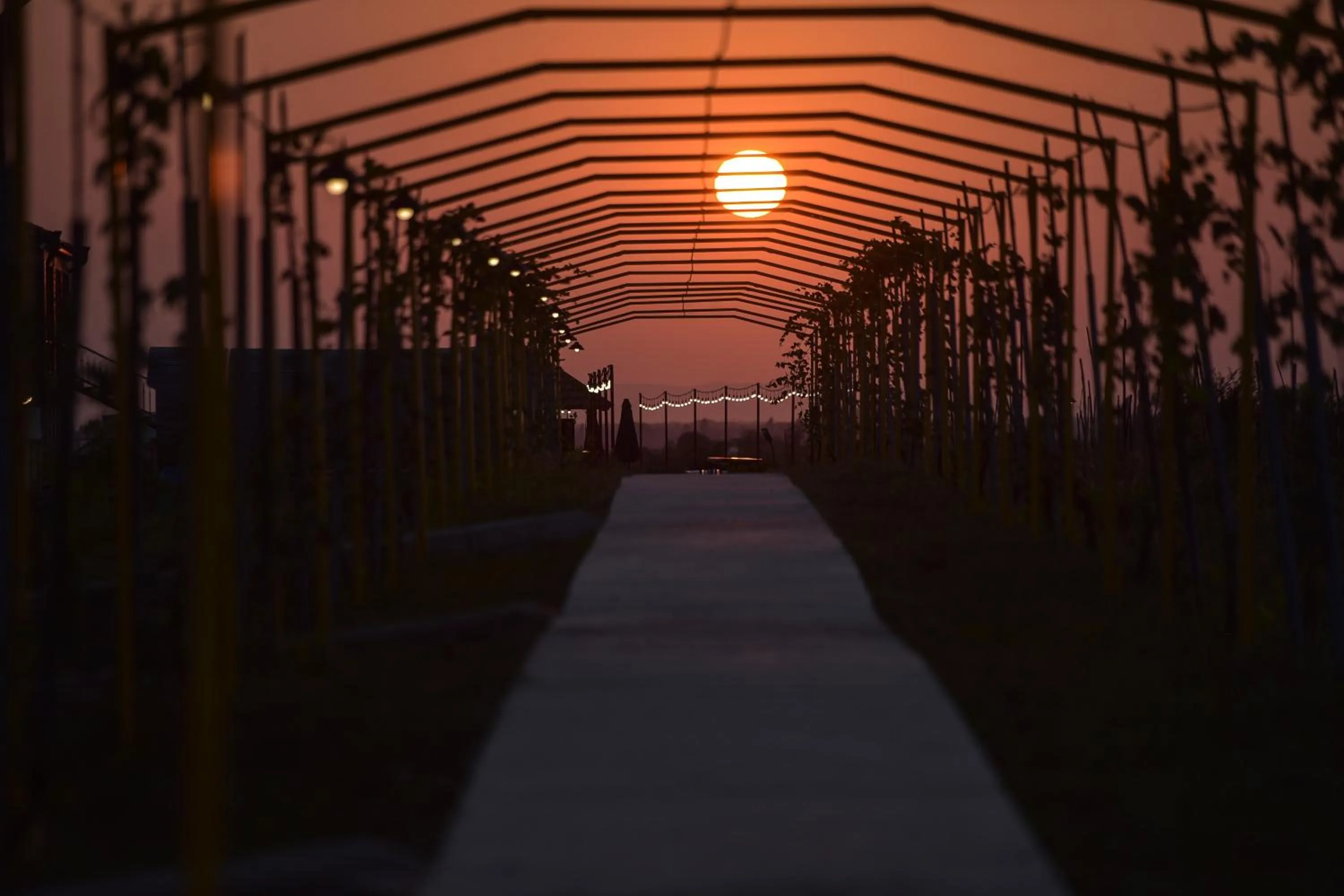 Patio in Chateau Vartsikhe