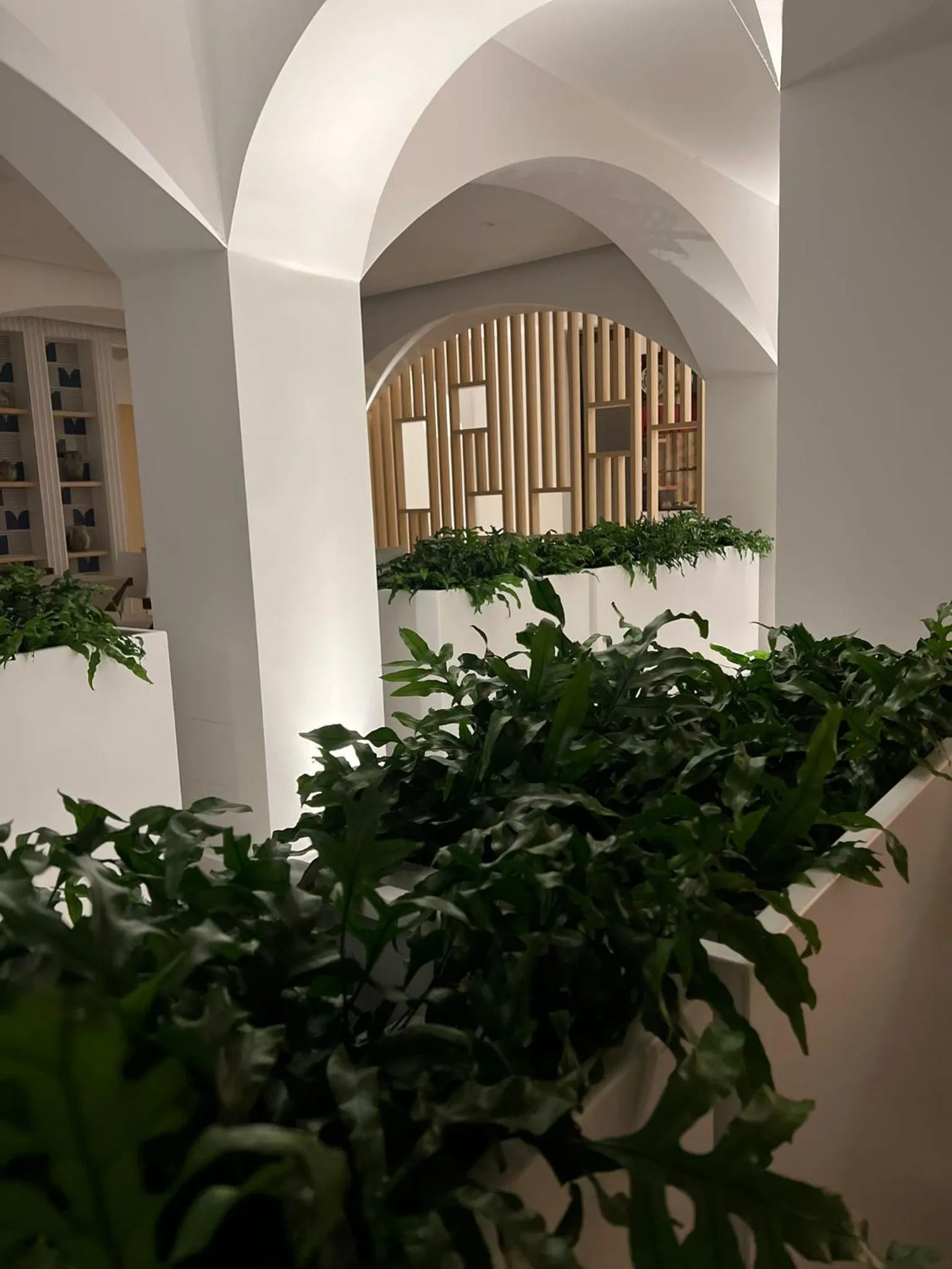 Garden in Hotel La Torre