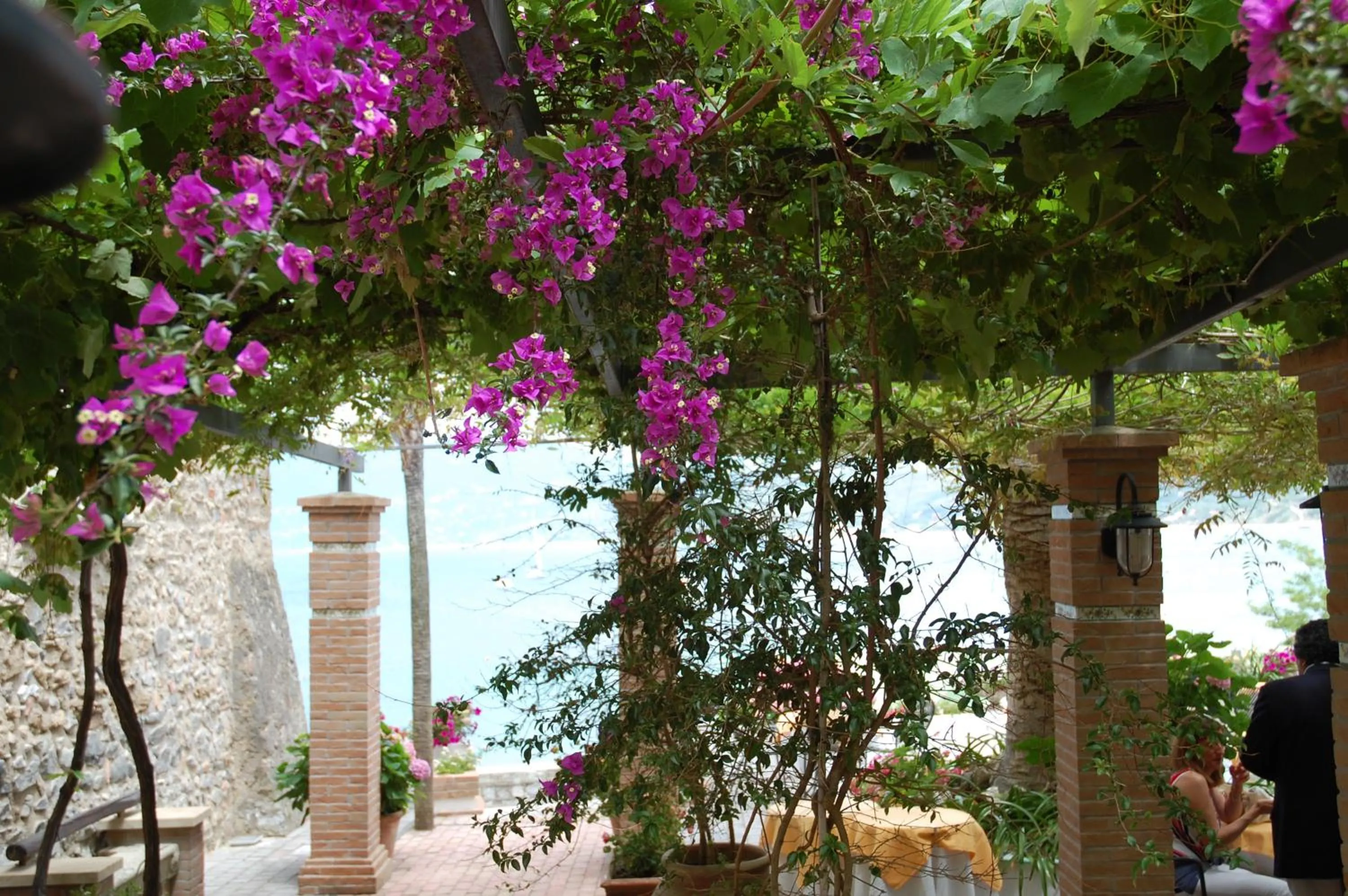 Facade/entrance in Hotel La Torre