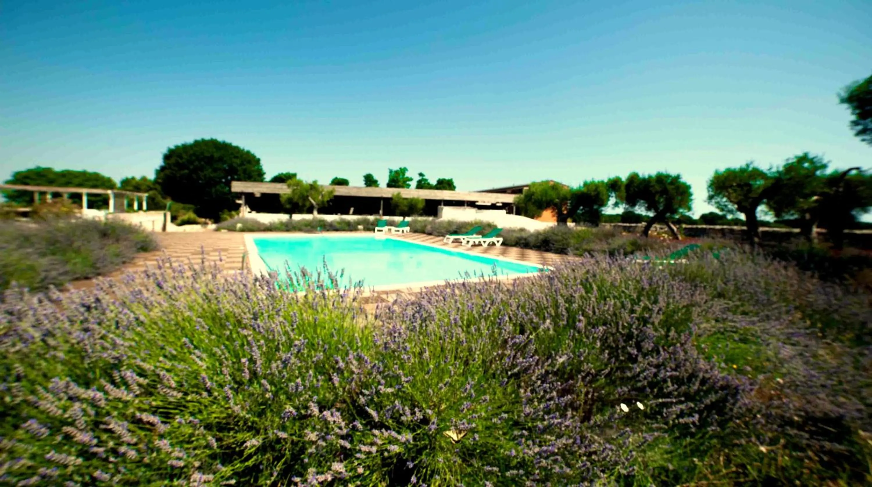 Swimming pool in Apulia Victor Country Hotel