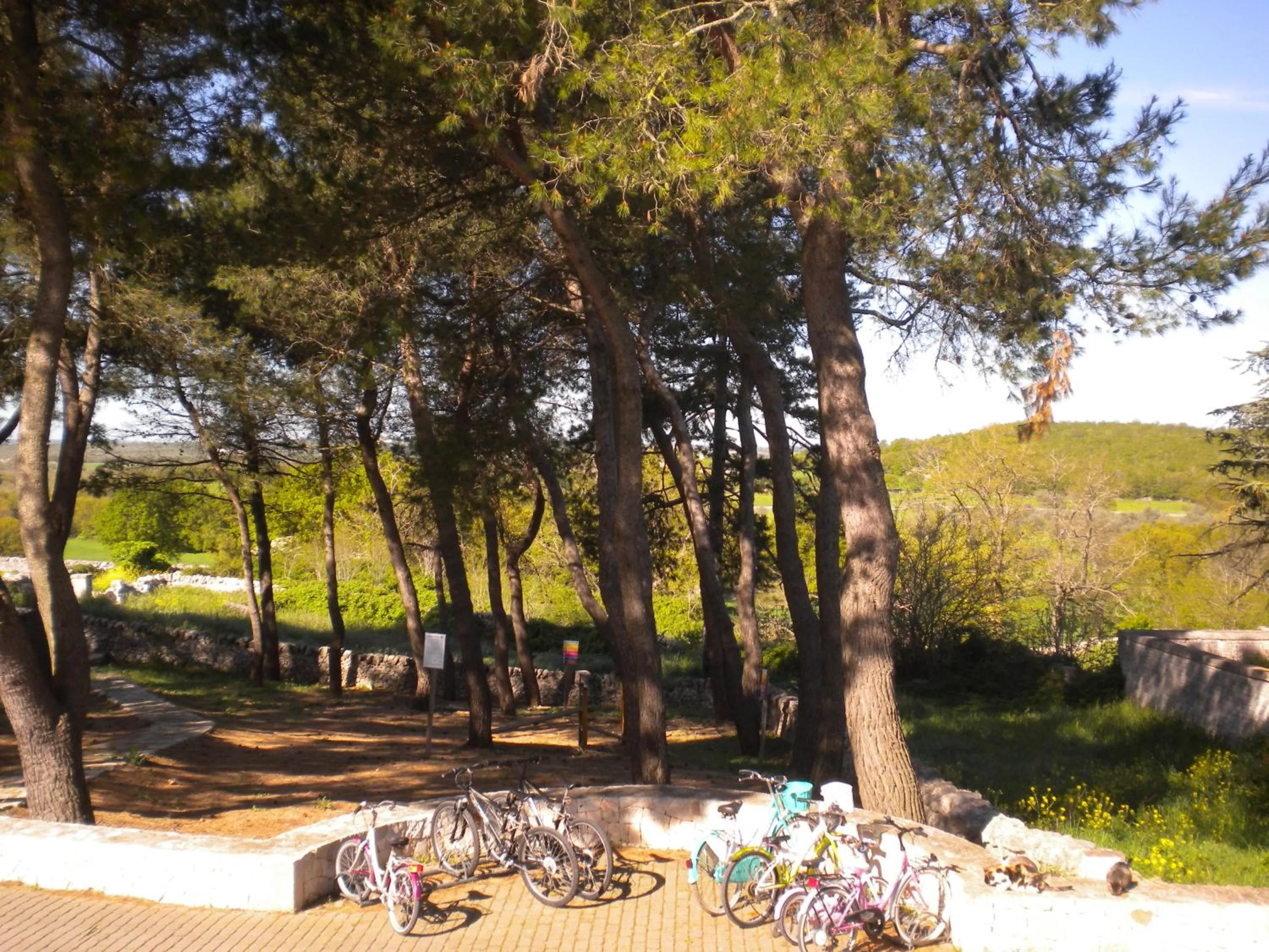 Garden in Apulia Victor Country Hotel