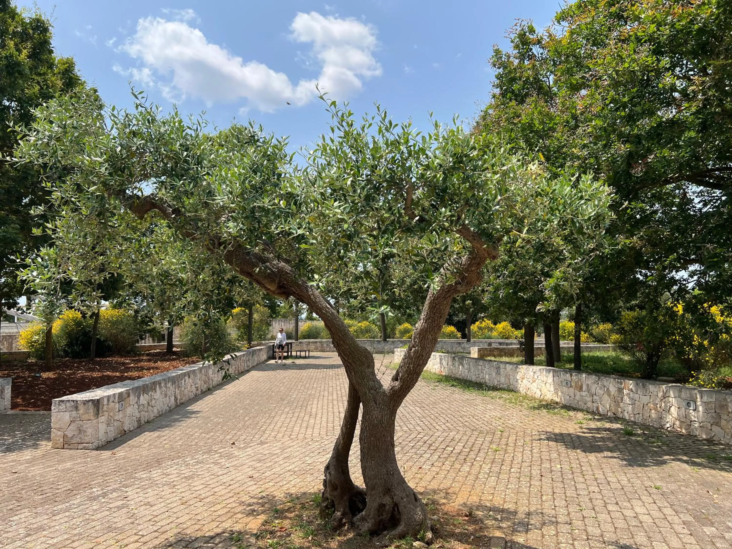 Apulia Victor Country Hotel