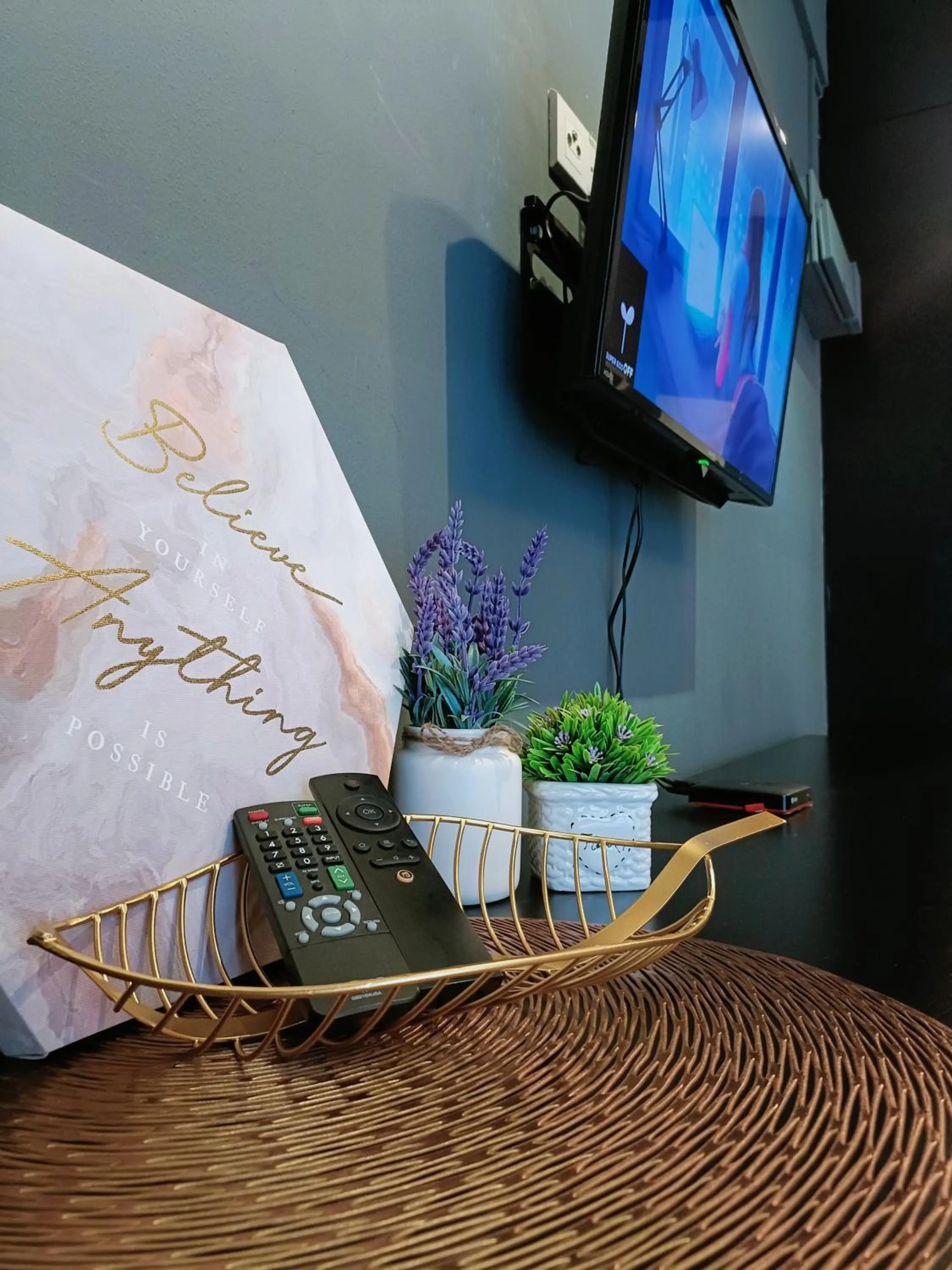 TV and multimedia in Owl Nest Suite' at aeropod sovo