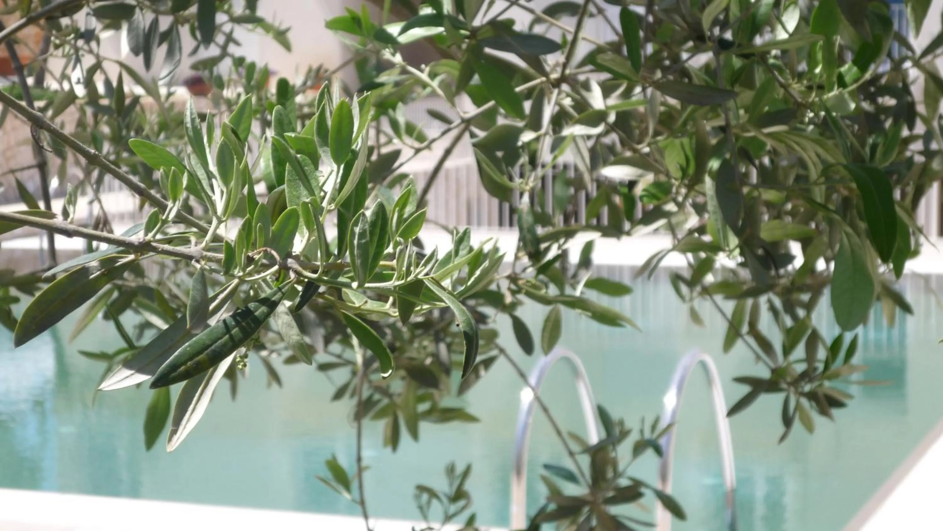 Swimming pool in Hotel Colle Del Sole