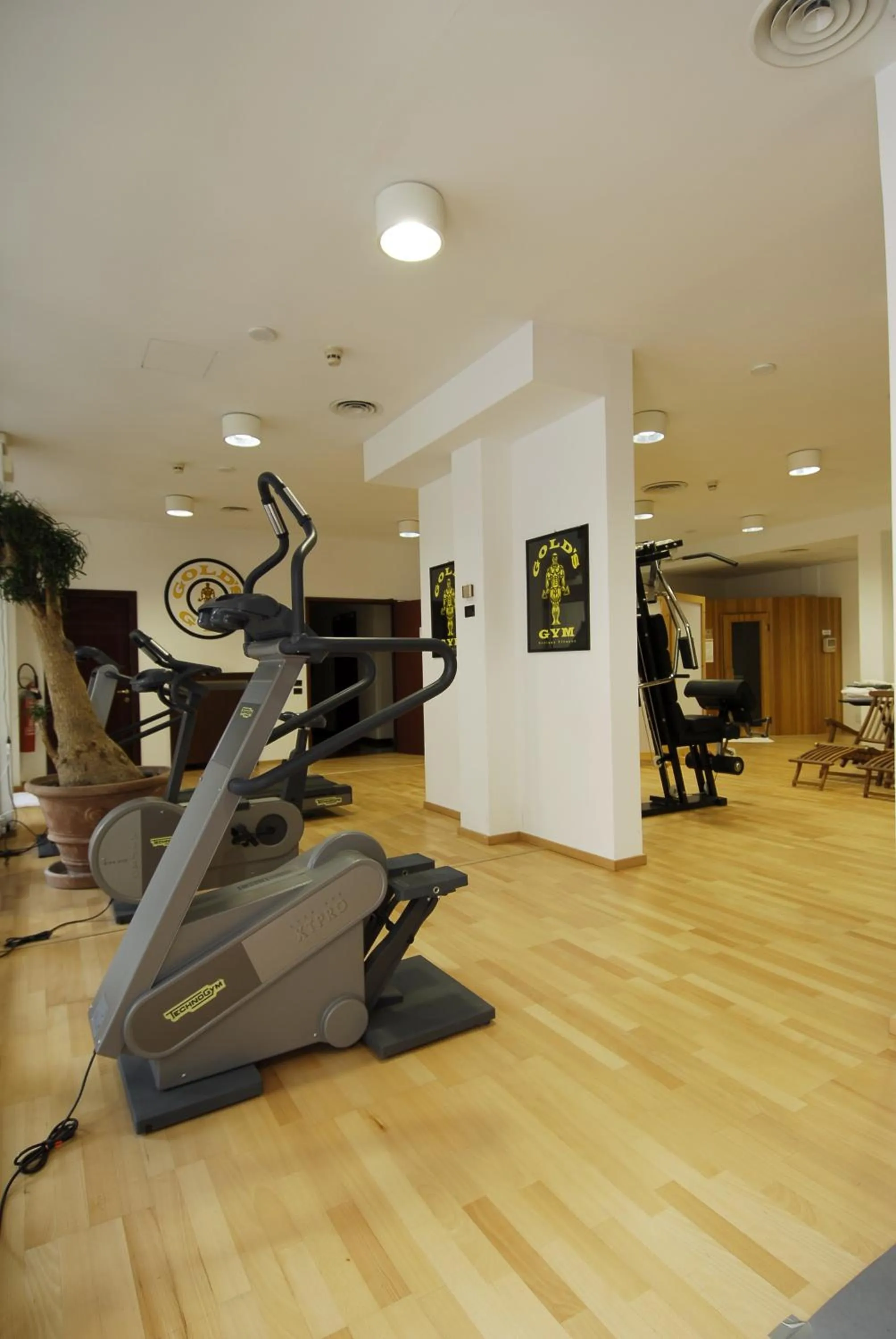 Fitness centre/facilities in Park Hotel Ripaverde