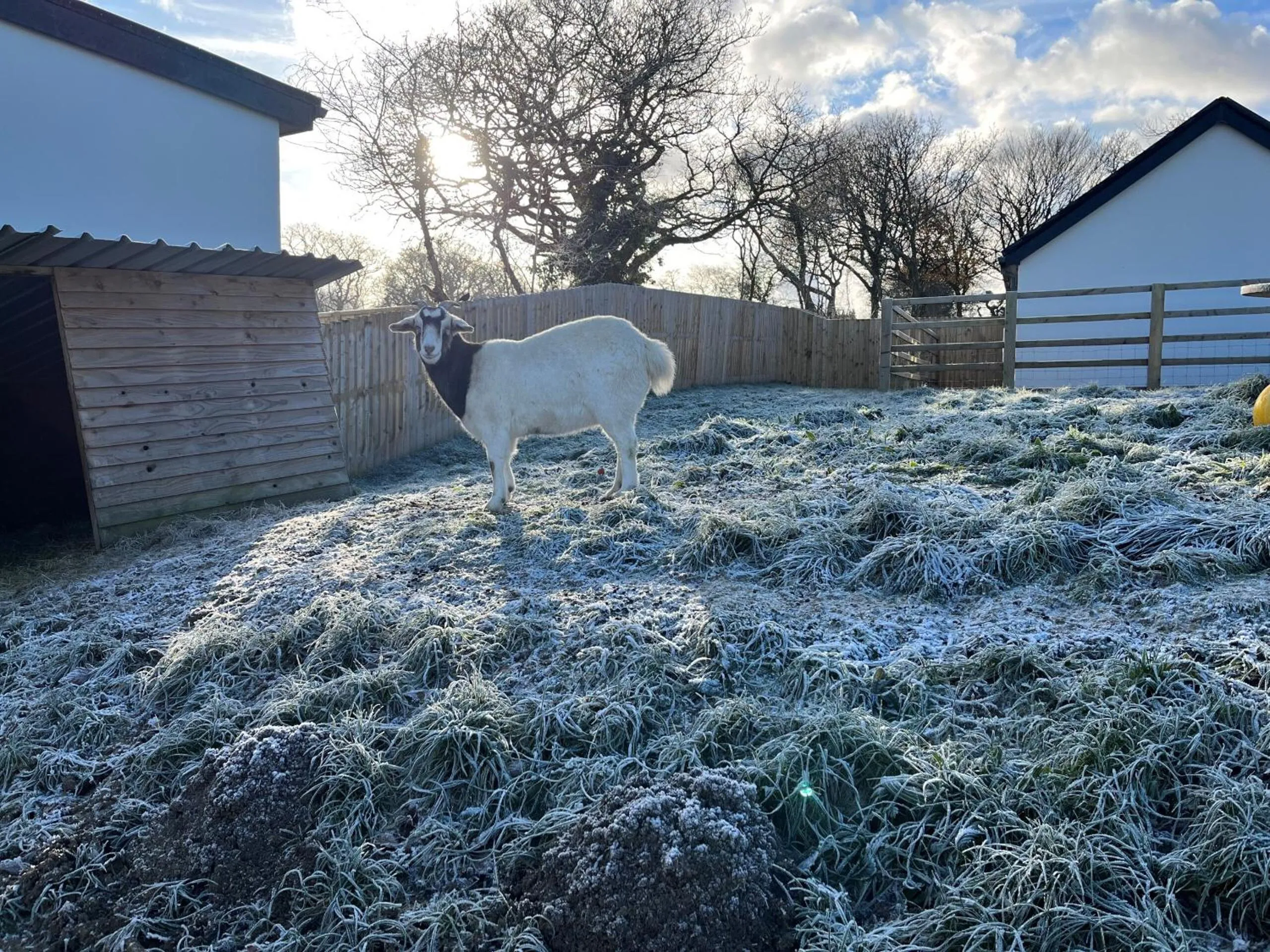 Property building in Robin Hood Safari Tent