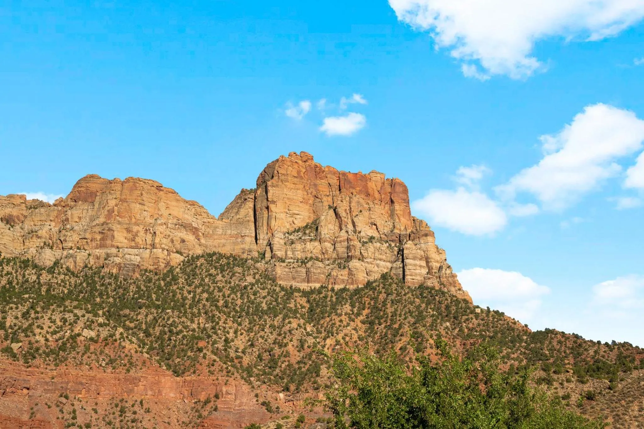 The Bungalows at Zion