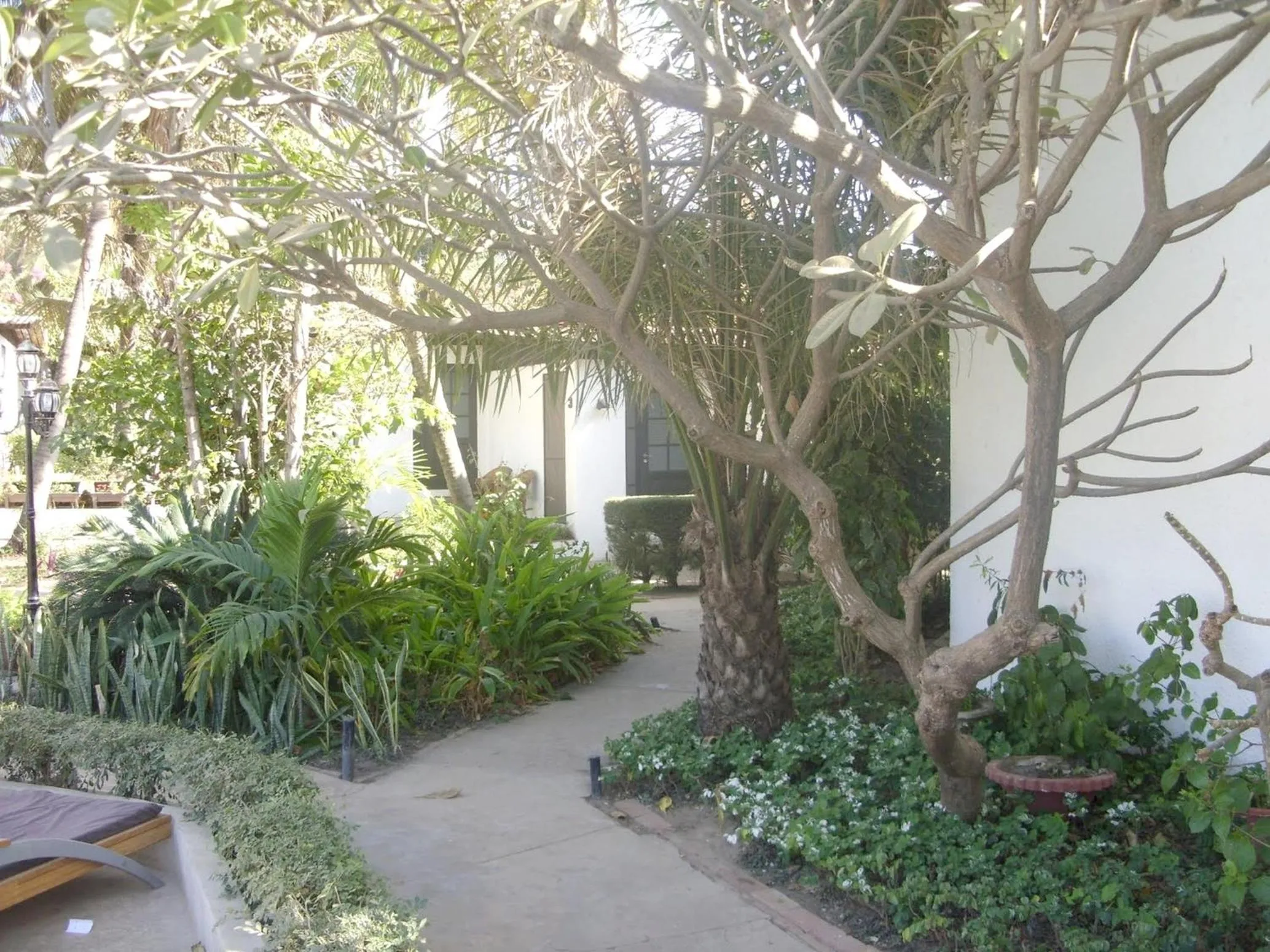 Garden in Bakotu Hotel