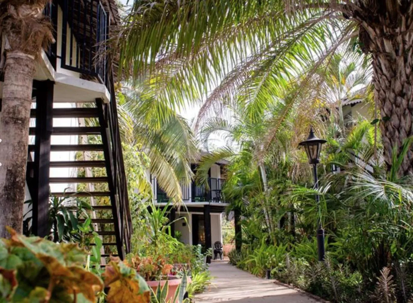 Garden in Bakotu Hotel