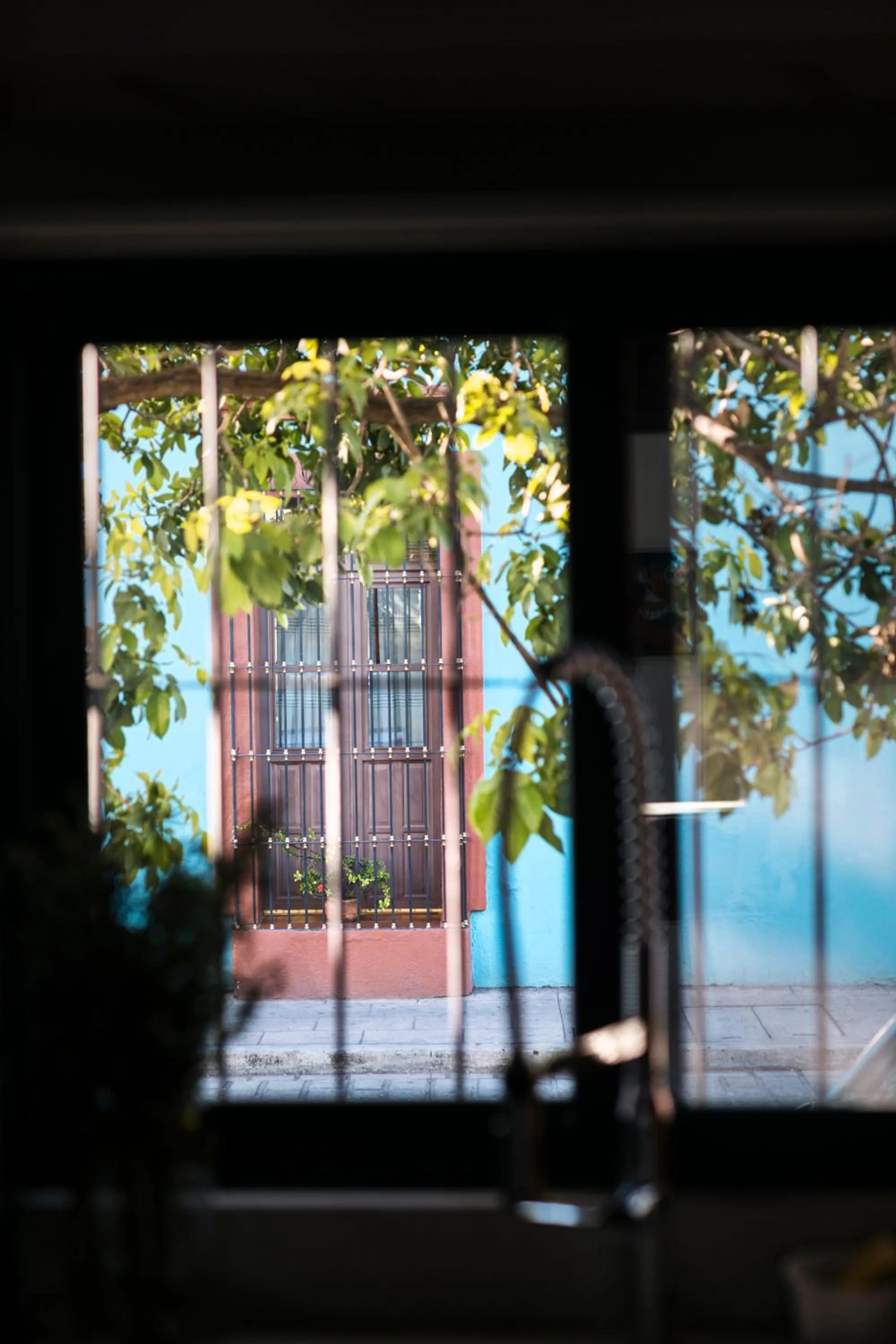 View (from property/room) in LARIMAR Gallery y Hotel Boutique