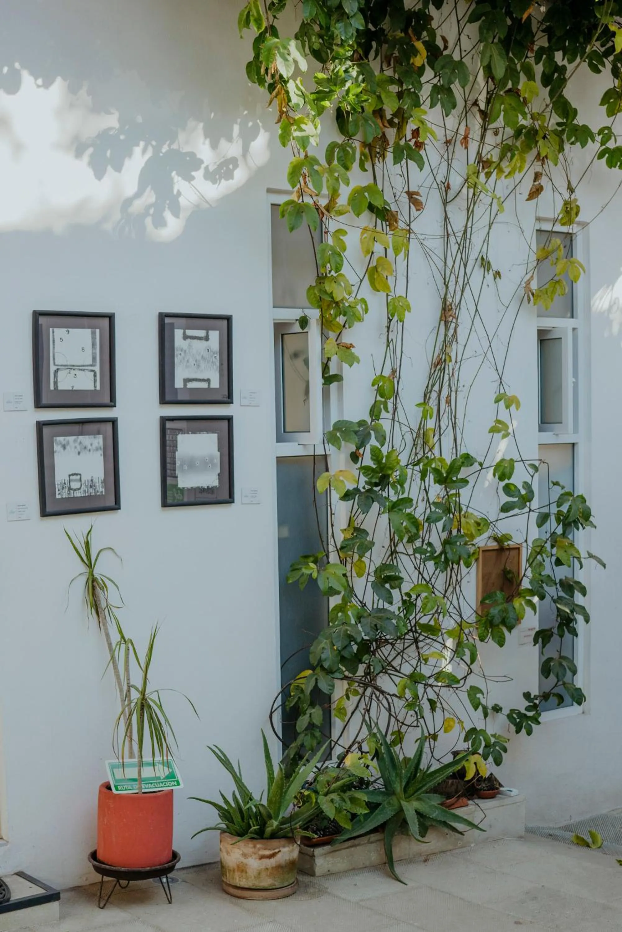 Day in LARIMAR Gallery y Hotel Boutique
