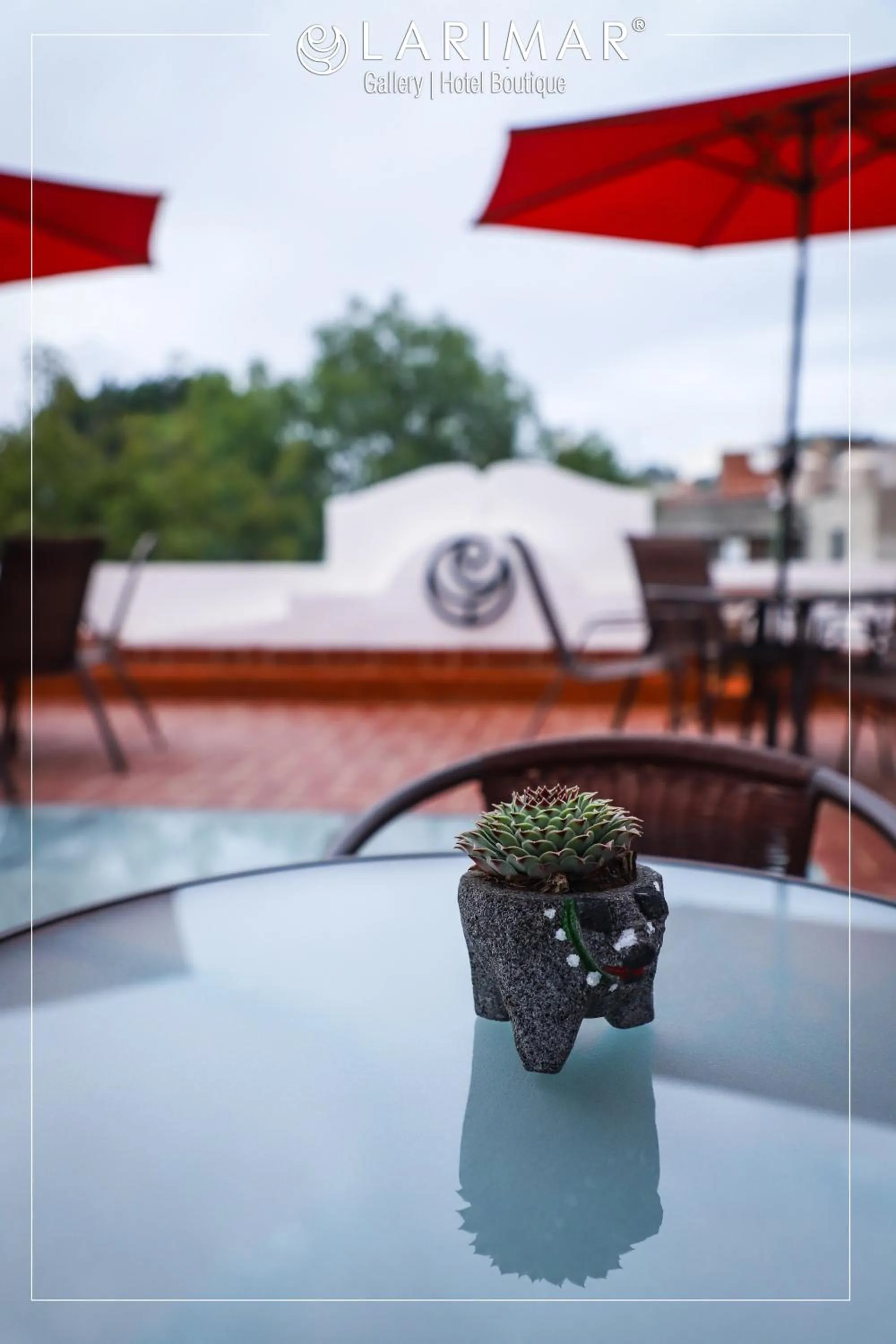 Patio in LARIMAR Gallery y Hotel Boutique