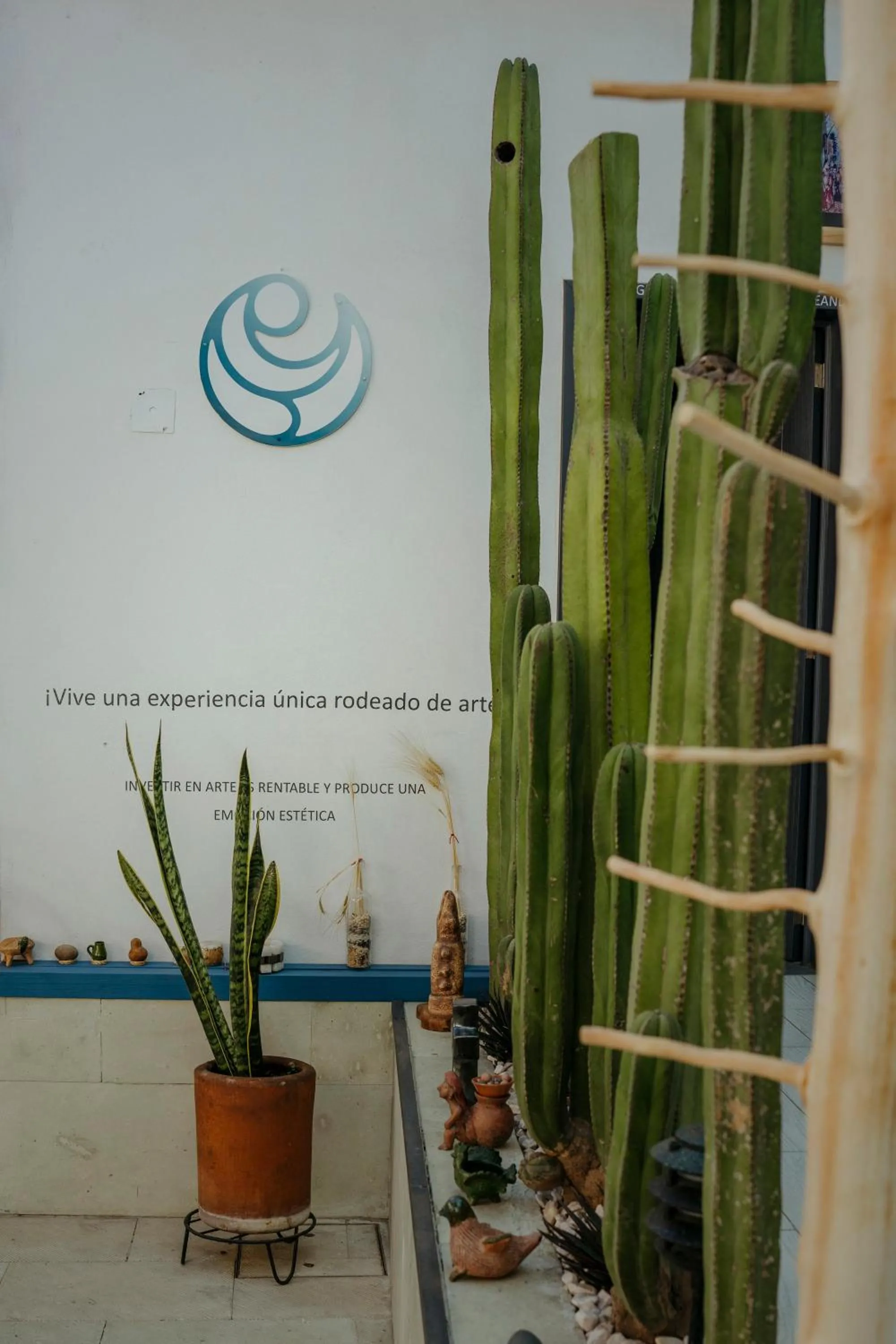 Day in LARIMAR Gallery y Hotel Boutique