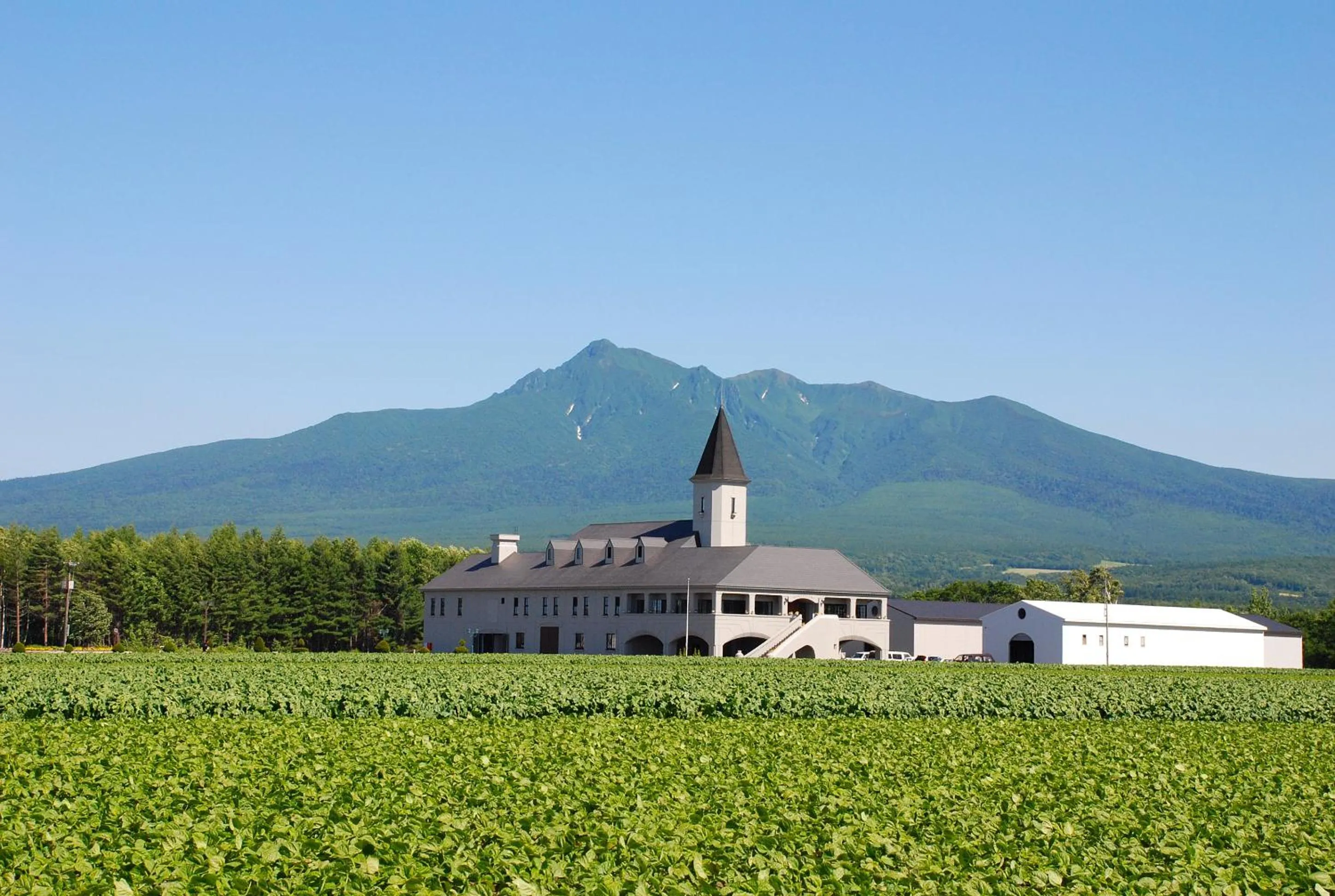 Kiyosato Onsen Hotel Ryokuseisou