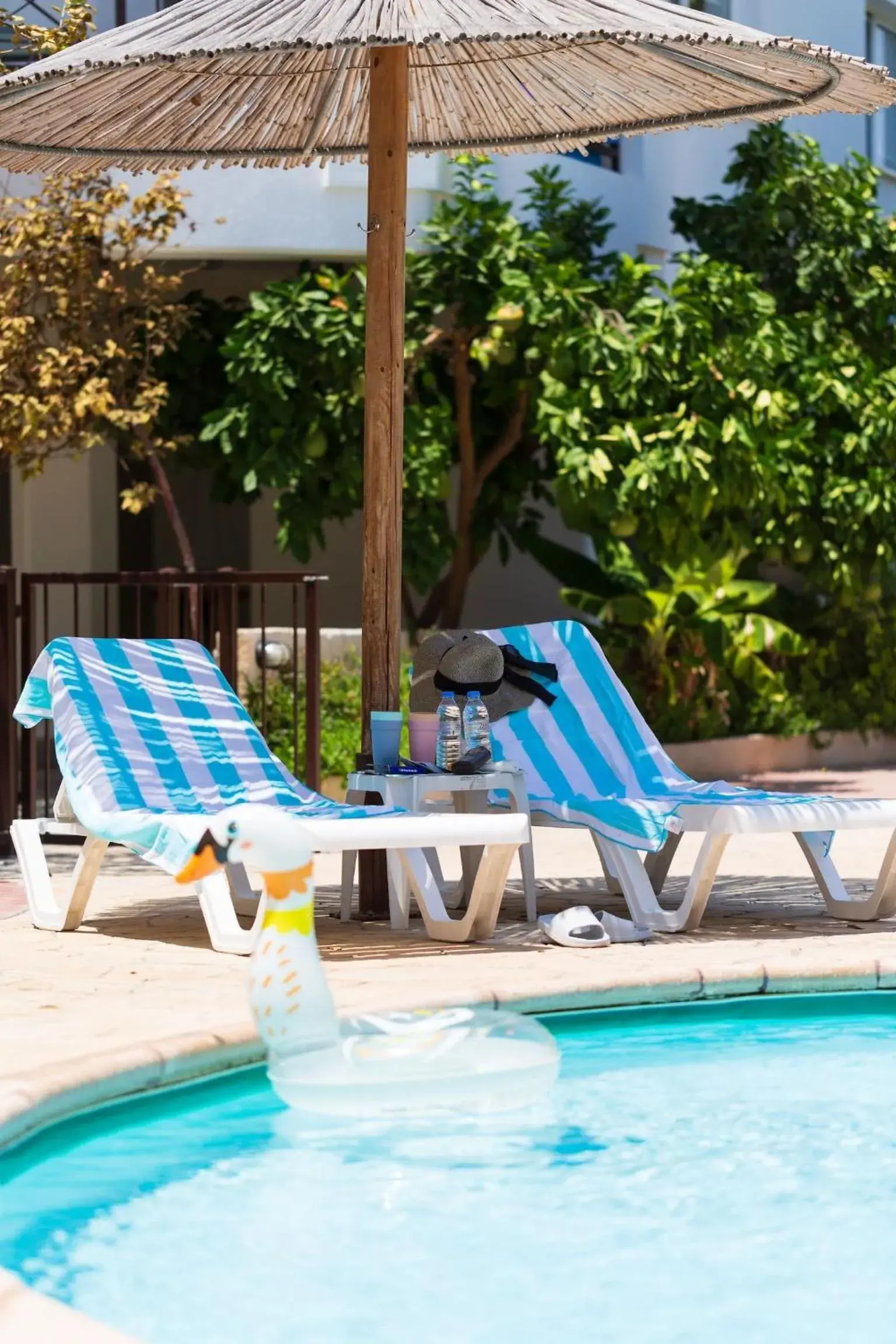 Pool view in Artemis Cynthia Complex Pool view in Artemis Cynthia Complex