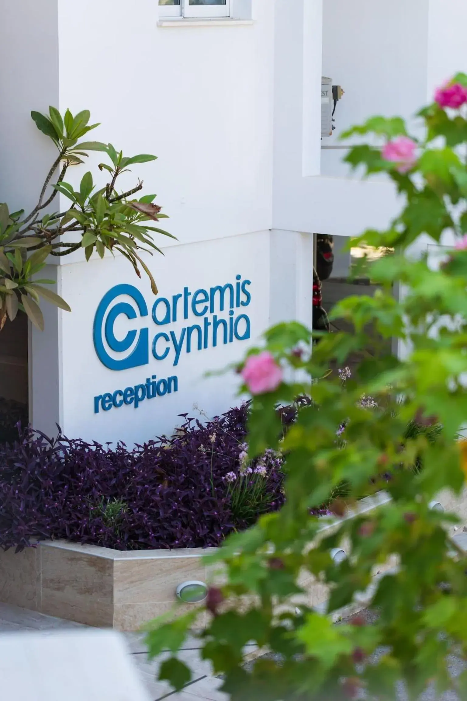 Property building in Artemis Cynthia Complex Property building in Artemis Cynthia Complex