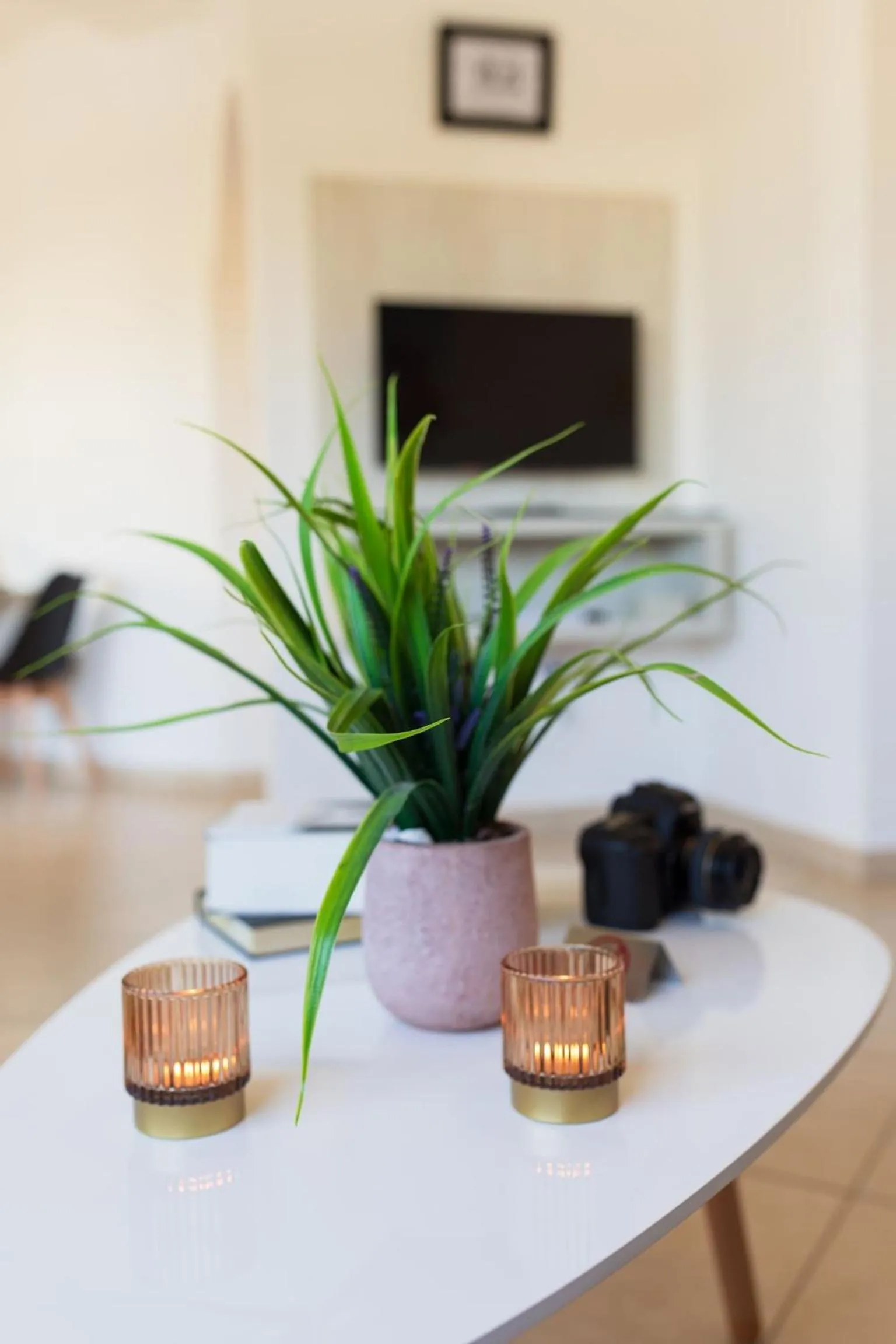 Other in Artemis Cynthia Complex